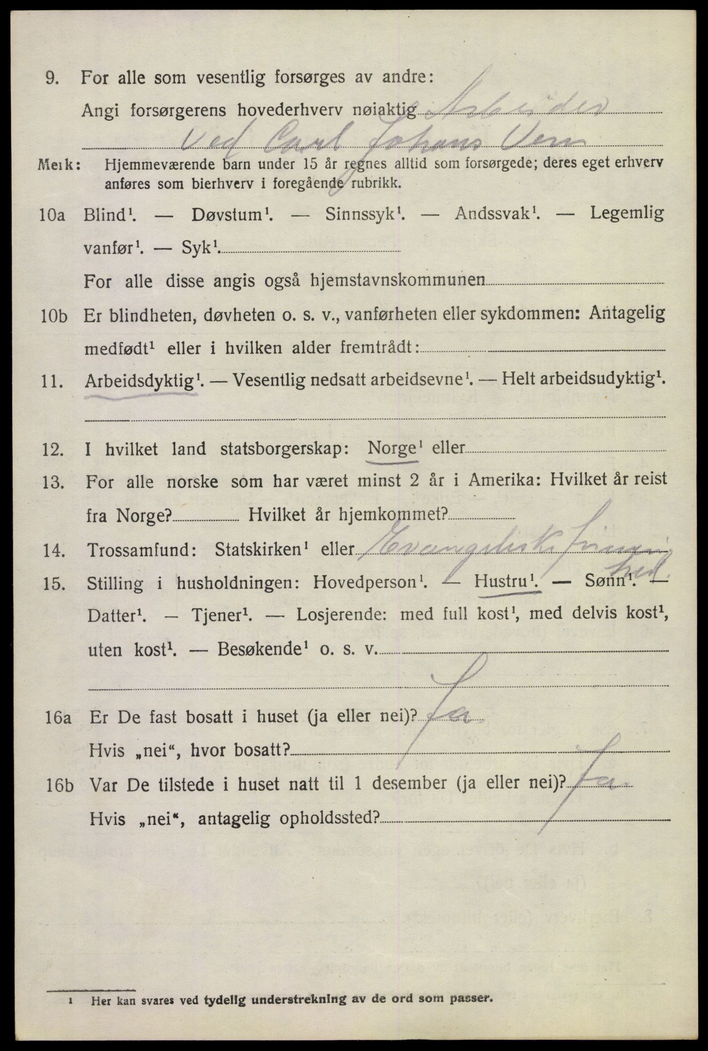 SAKO, 1920 census for Borre, 1920, p. 6207