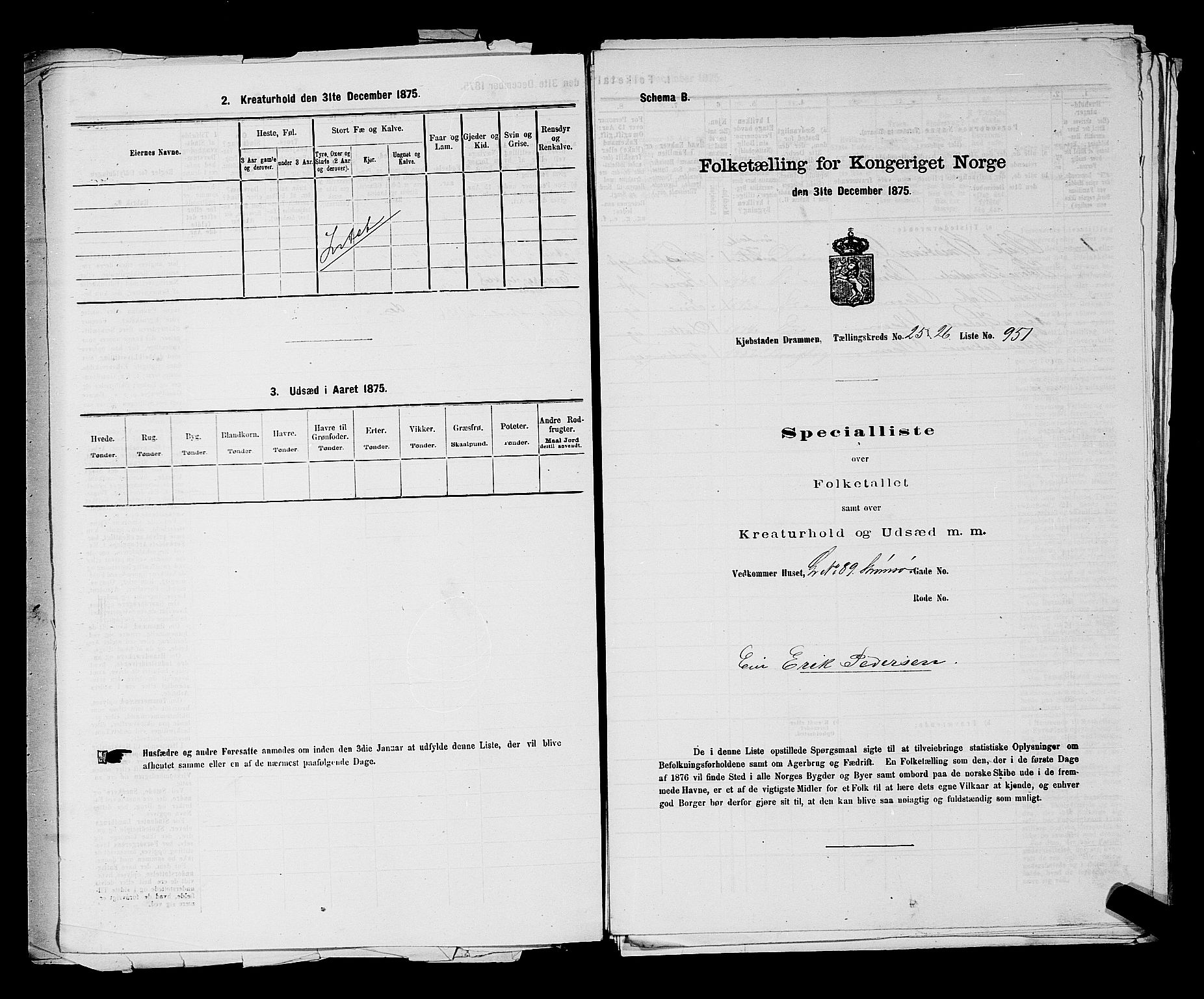 SAKO, 1875 census for 0602 Drammen, 1875, p. 2555