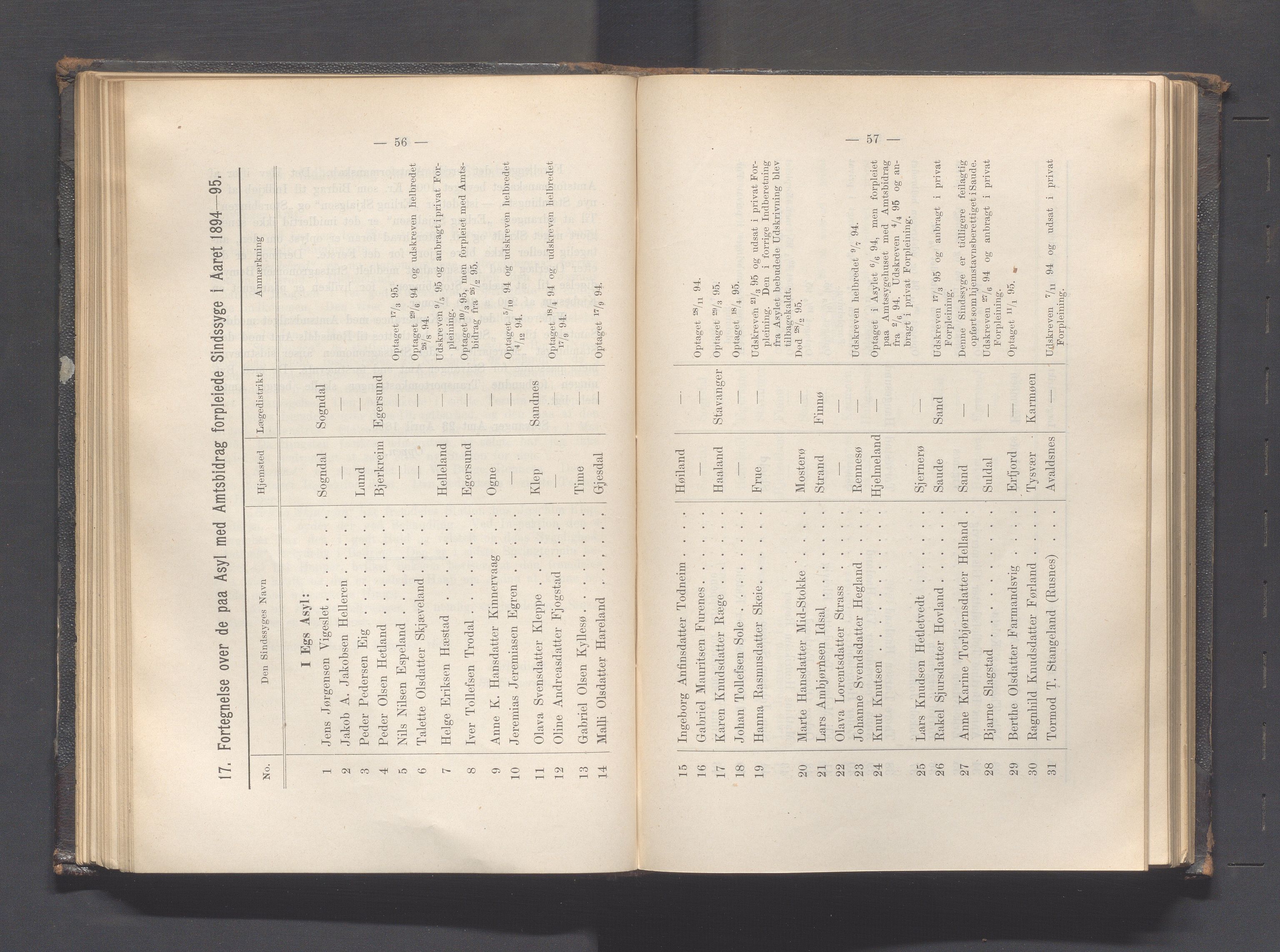 Rogaland fylkeskommune - Fylkesrådmannen , IKAR/A-900/A, 1895, p. 102