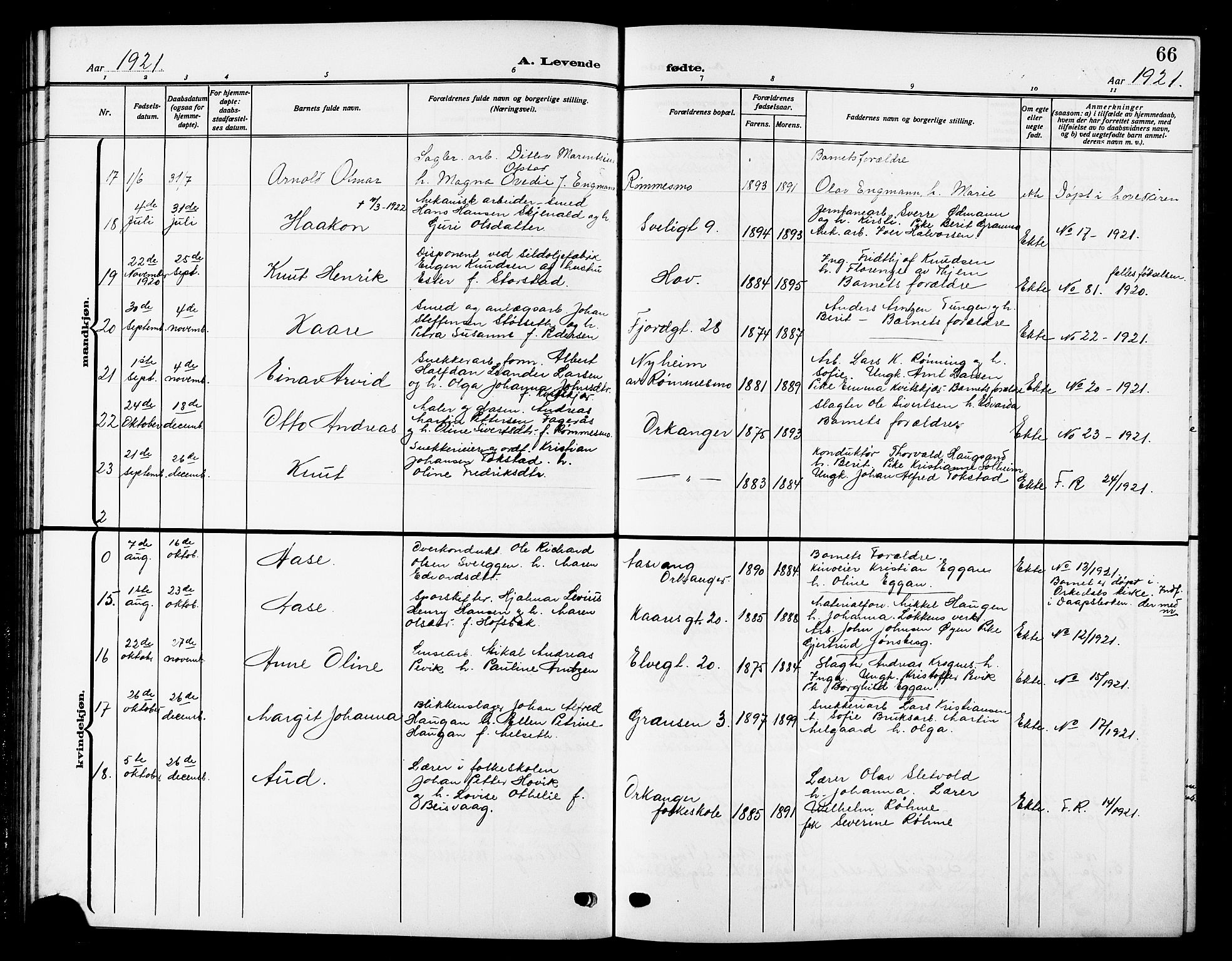 Ministerialprotokoller, klokkerbøker og fødselsregistre - Sør-Trøndelag, SAT/A-1456/669/L0831: Parish register (copy) no. 669C01, 1909-1924, p. 66