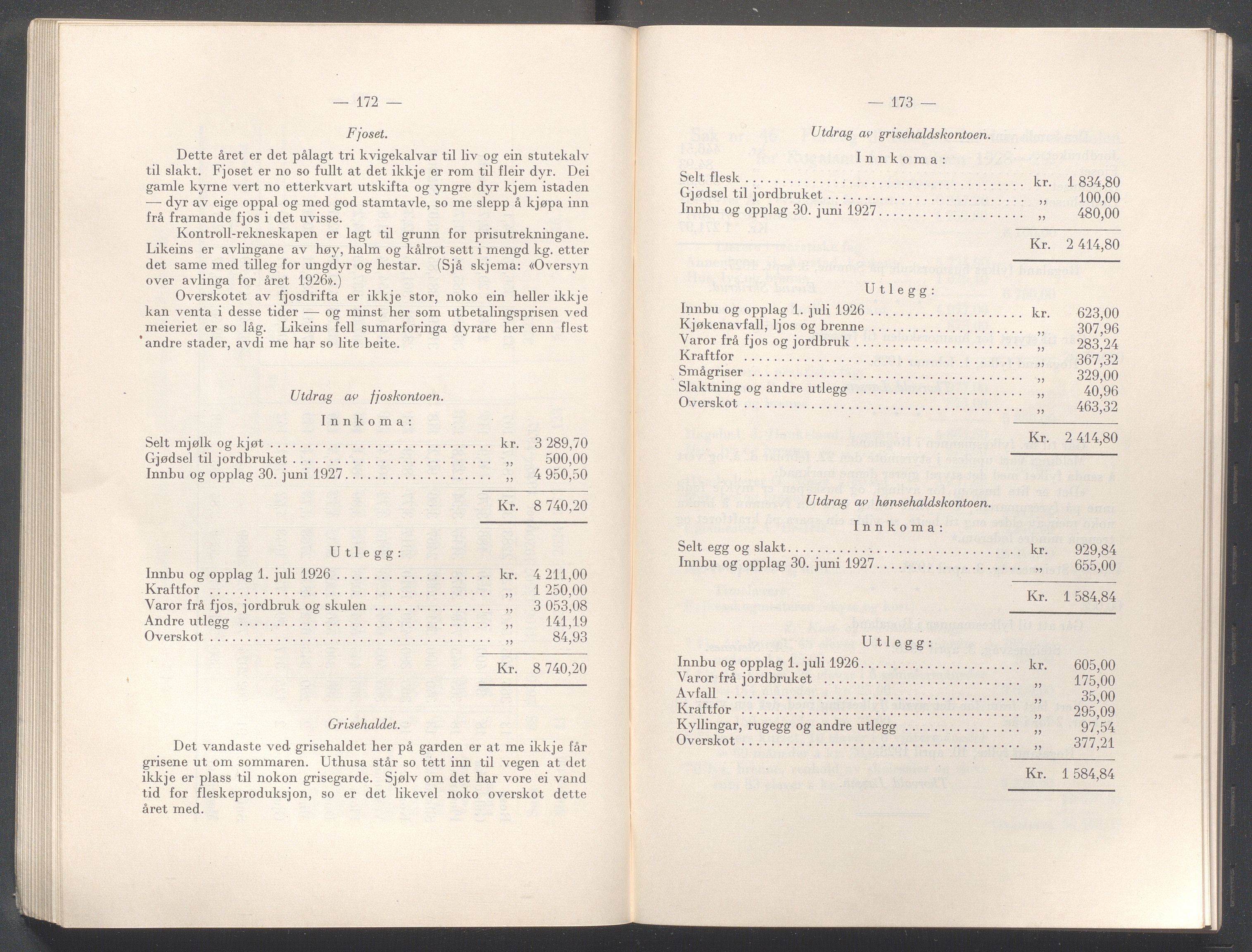 Rogaland fylkeskommune - Fylkesrådmannen , IKAR/A-900/A/Aa/Aaa/L0047: Møtebok , 1928, p. 172-173