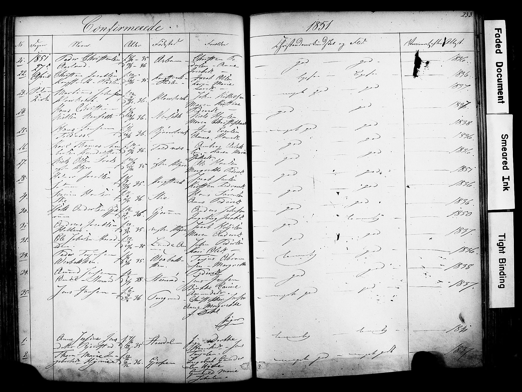 Solum kirkebøker, SAKO/A-306/F/Fa/L0006: Parish register (official) no. I 6, 1844-1855, p. 233