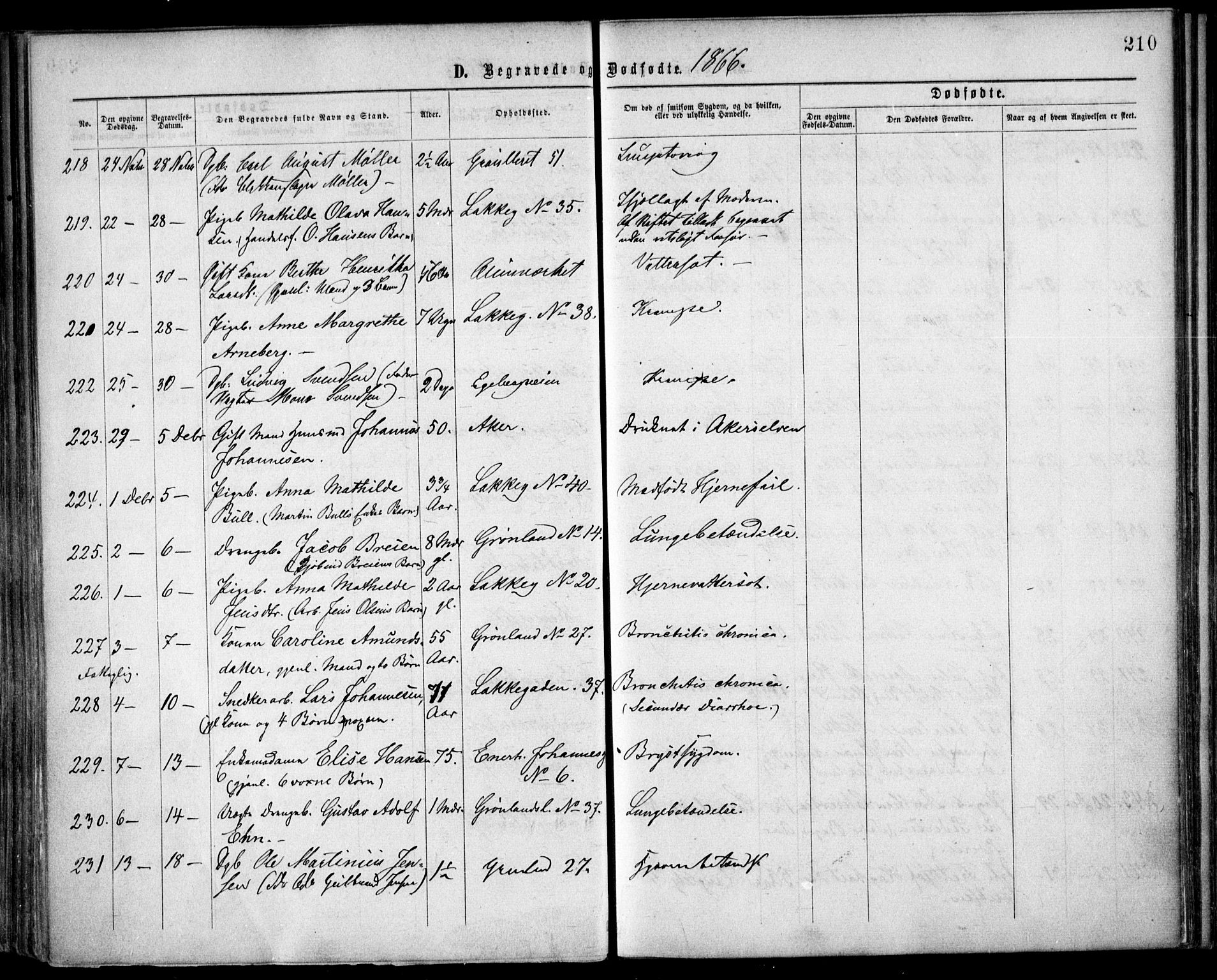 Grønland prestekontor Kirkebøker, AV/SAO-A-10848/F/Fa/L0003: Parish register (official) no. 3, 1862-1868, p. 210