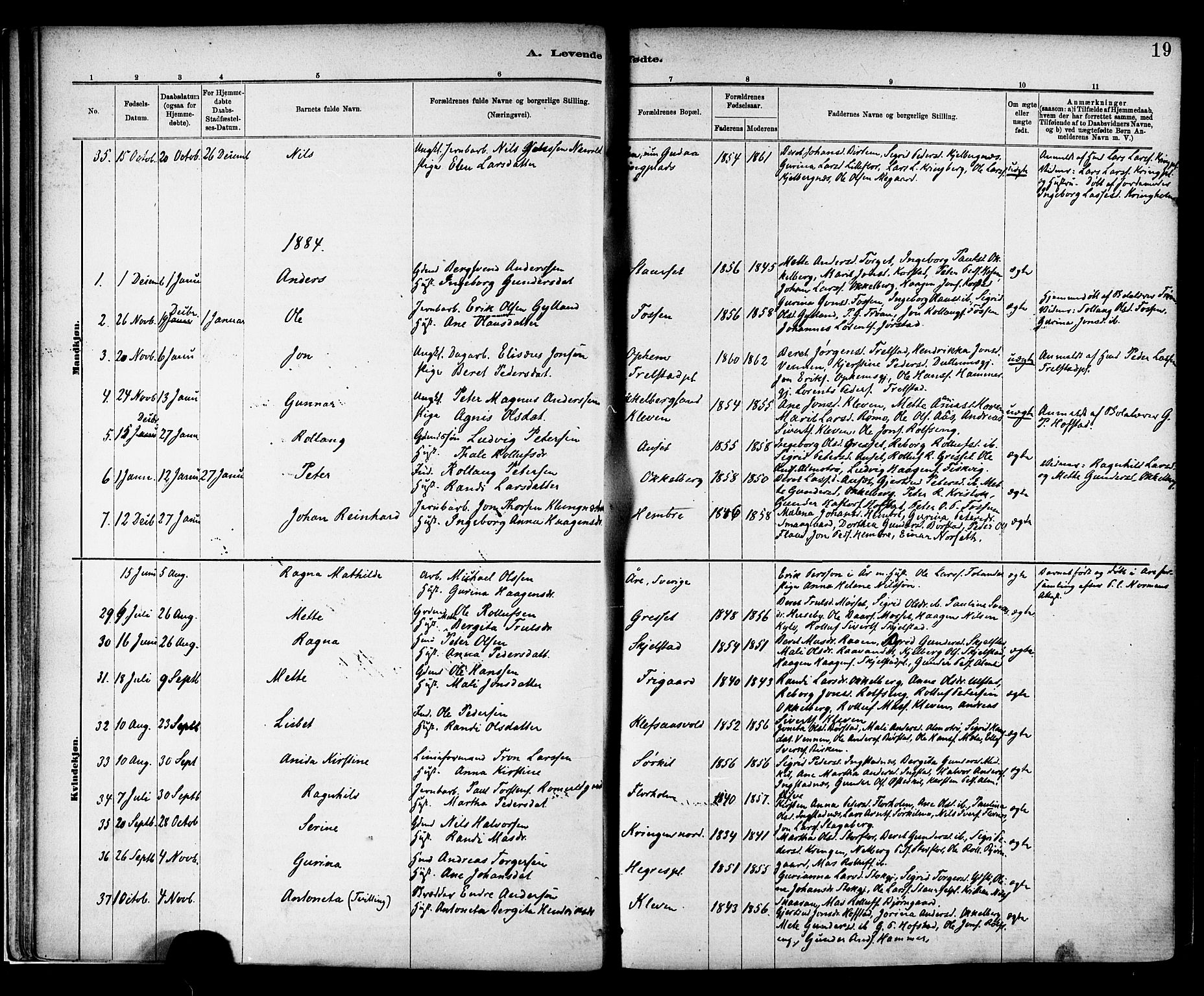 Ministerialprotokoller, klokkerbøker og fødselsregistre - Nord-Trøndelag, SAT/A-1458/703/L0030: Parish register (official) no. 703A03, 1880-1892, p. 19
