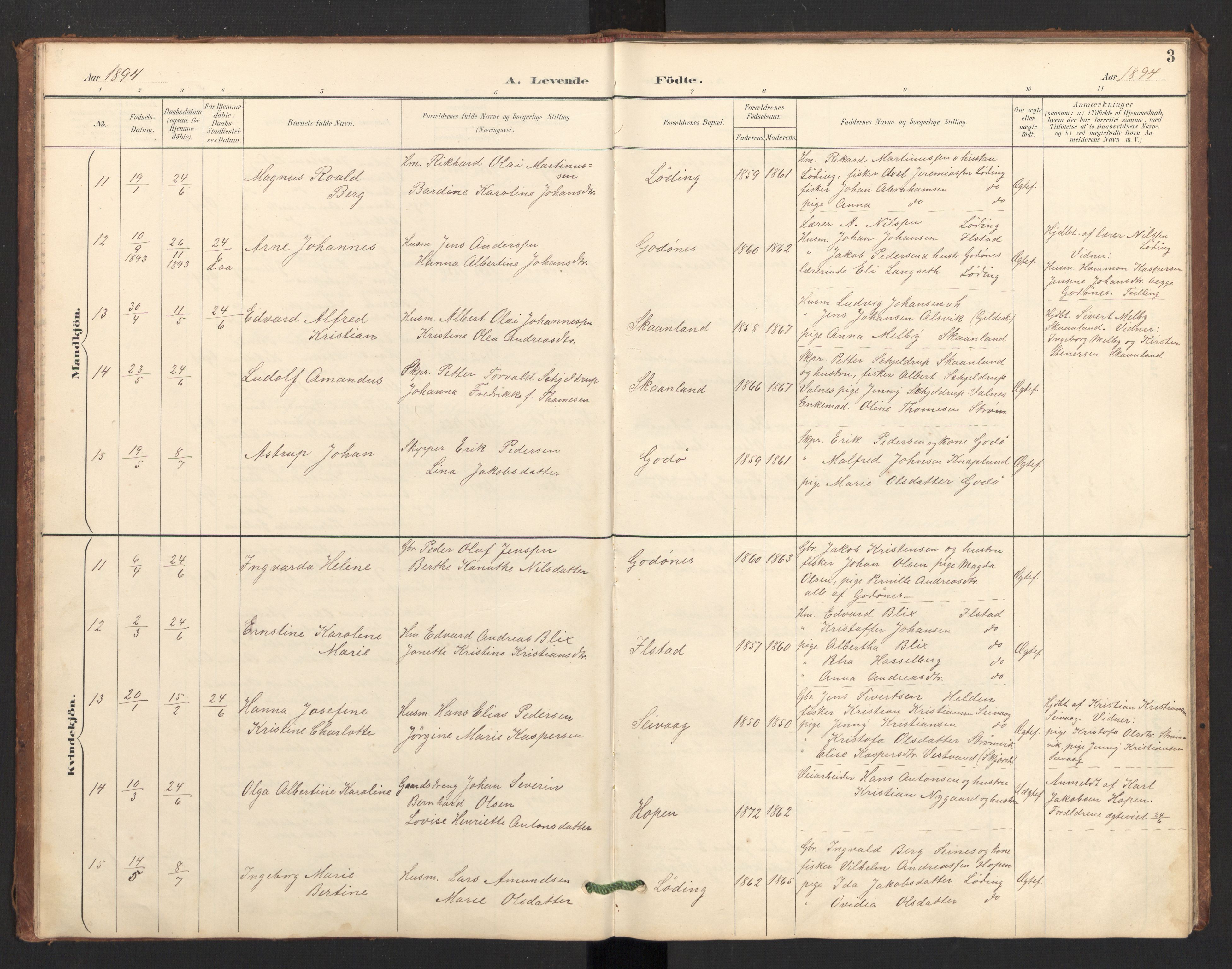 Ministerialprotokoller, klokkerbøker og fødselsregistre - Nordland, AV/SAT-A-1459/804/L0087: Parish register (official) no. 804A08, 1894-1907, p. 3