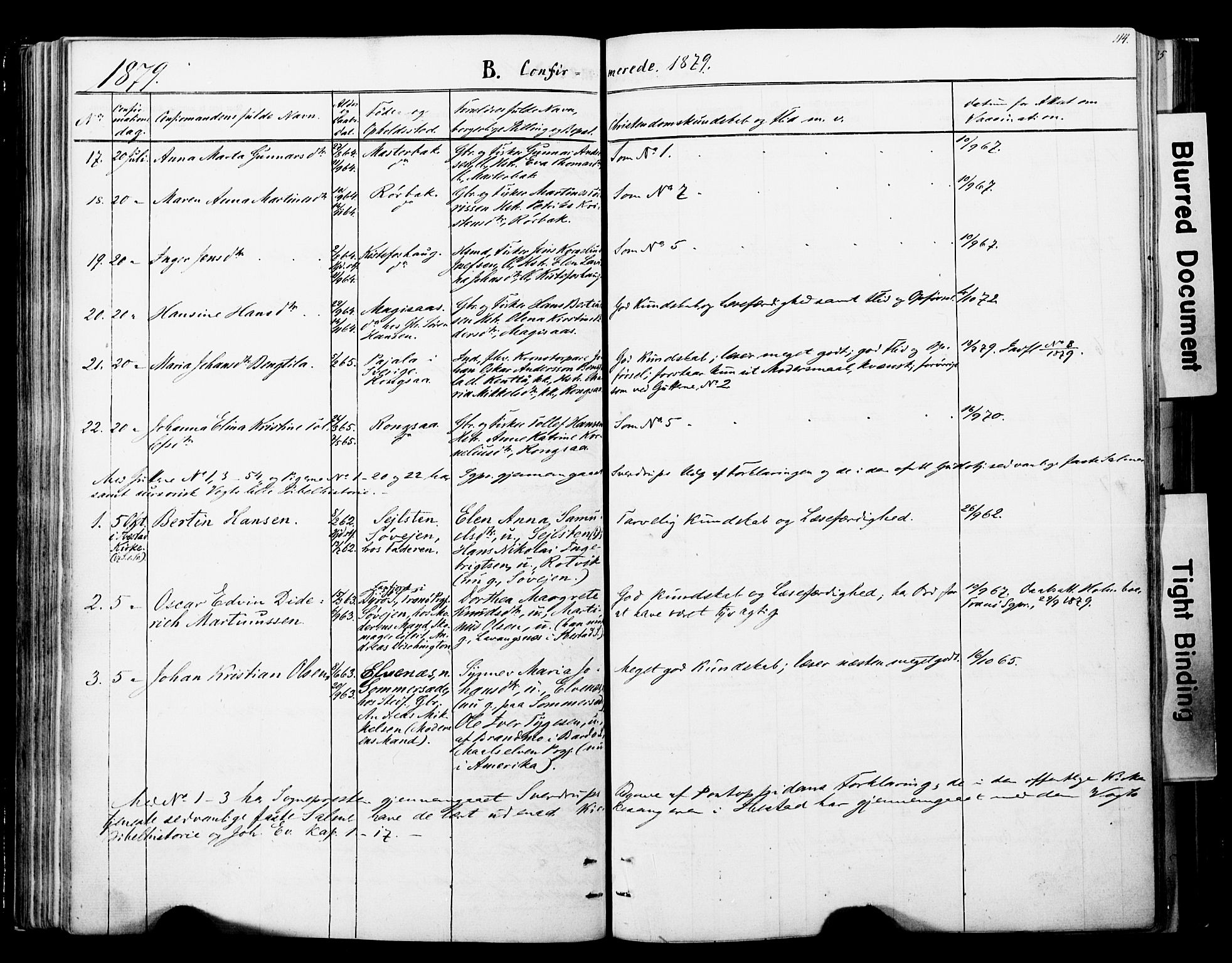 Ibestad sokneprestembete, SATØ/S-0077/H/Ha/Haa/L0013kirke: Parish register (official) no. 13, 1865-1879, p. 114