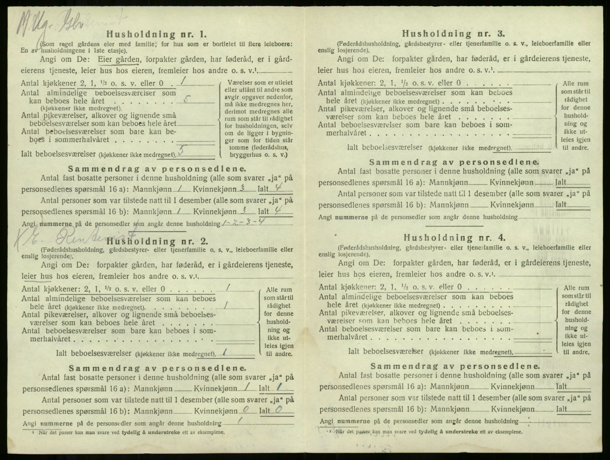 SAKO, 1920 census for Våle, 1920, p. 860