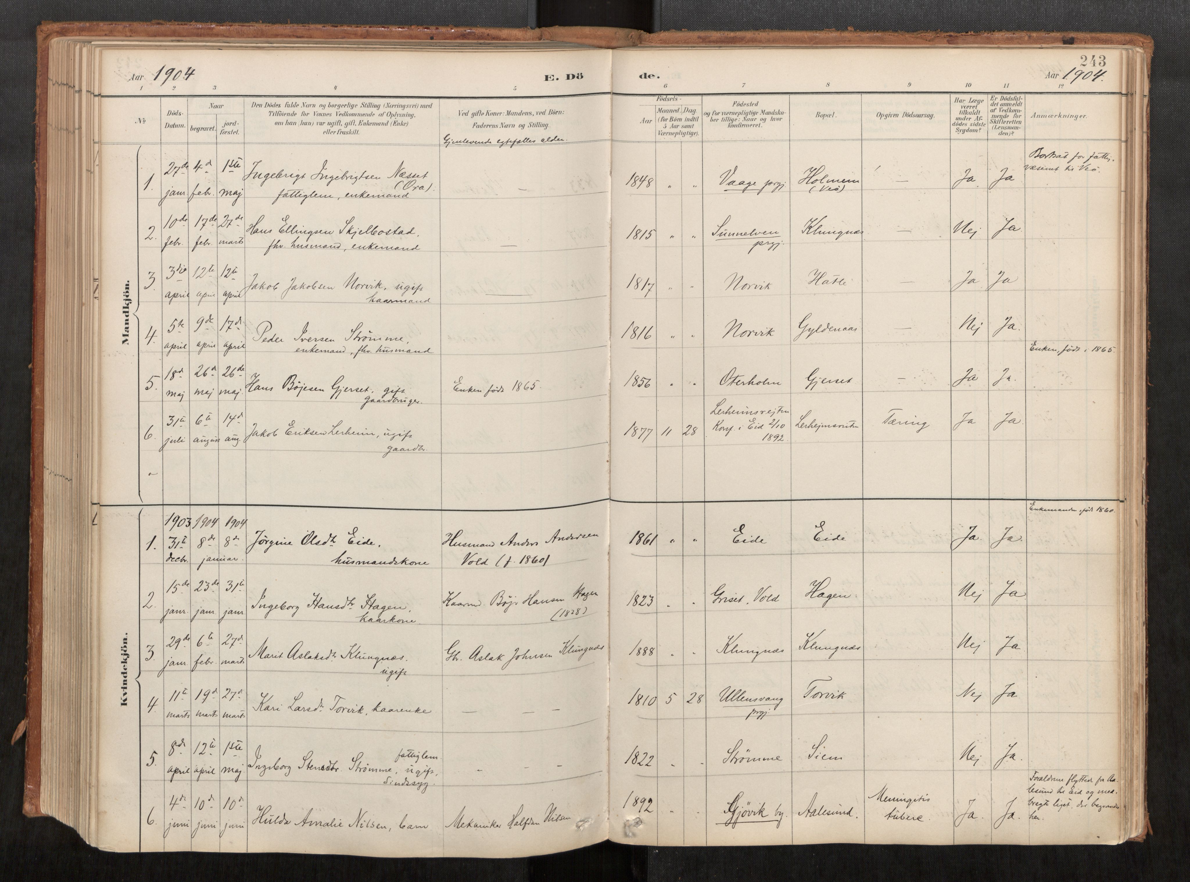 Ministerialprotokoller, klokkerbøker og fødselsregistre - Møre og Romsdal, AV/SAT-A-1454/542/L0553: Parish register (official) no. 542A03, 1885-1925, p. 243