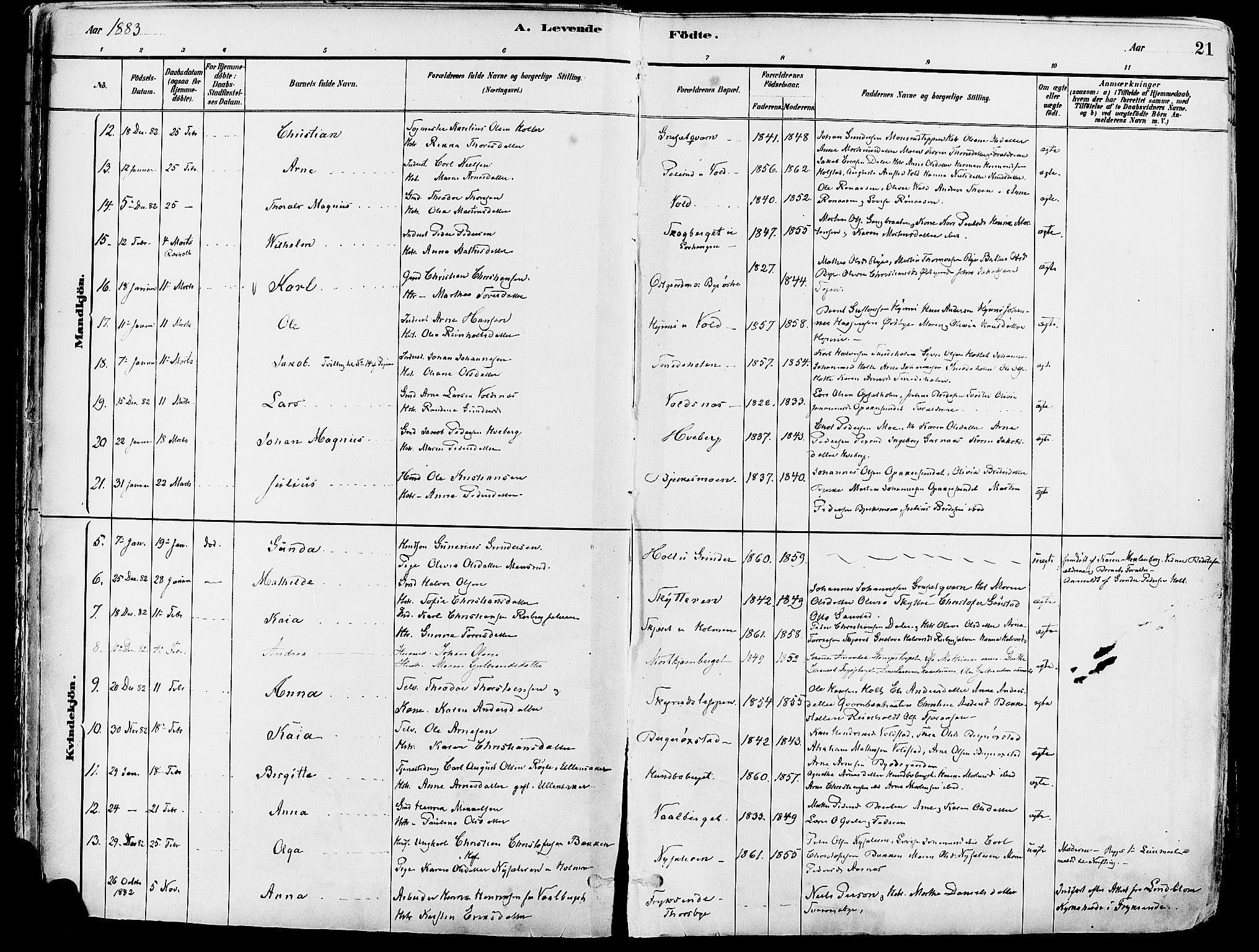 Grue prestekontor, SAH/PREST-036/H/Ha/Haa/L0012: Parish register (official) no. 12, 1881-1897, p. 21