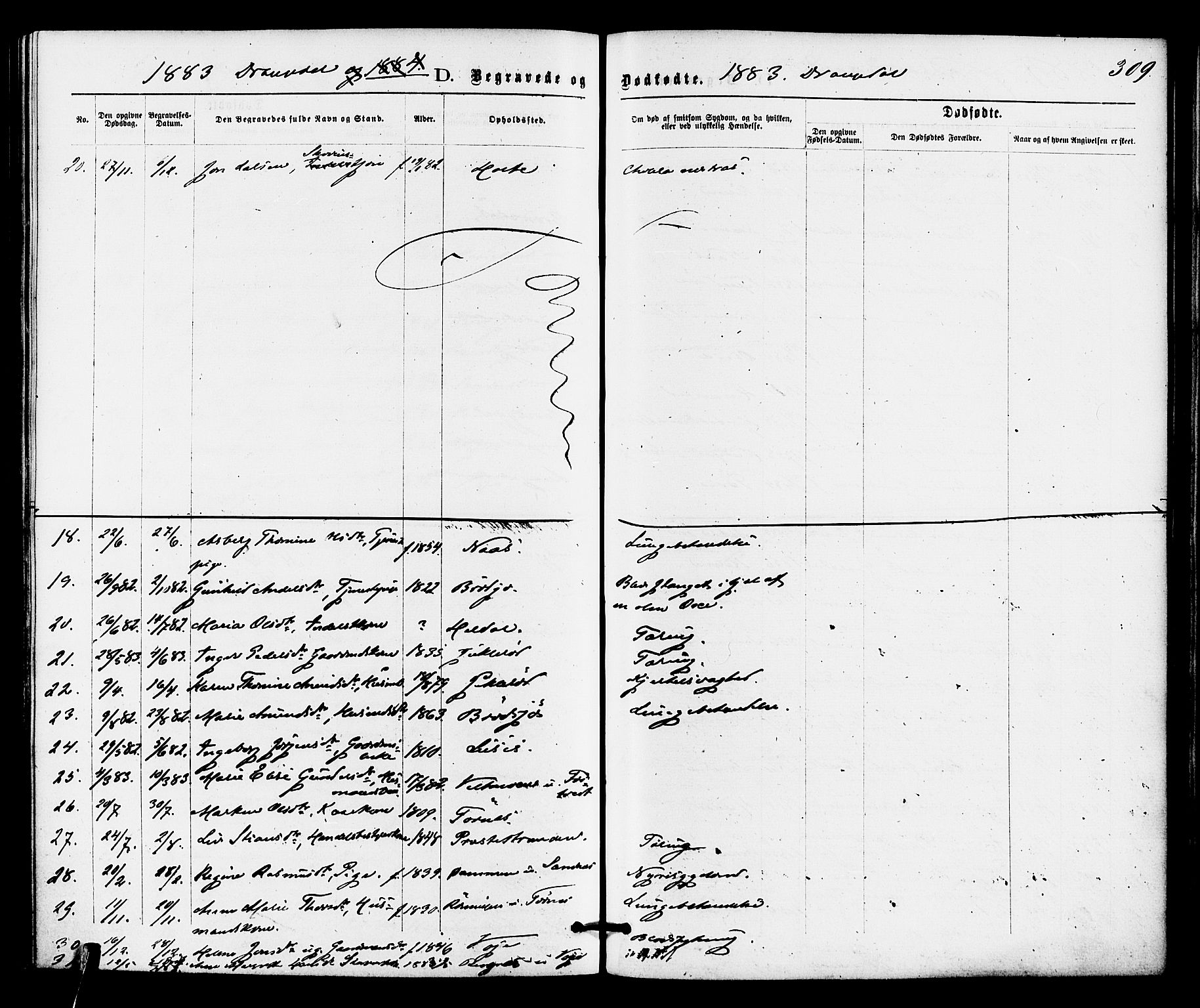 Drangedal kirkebøker, SAKO/A-258/F/Fa/L0009: Parish register (official) no. 9 /1, 1872-1884, p. 309