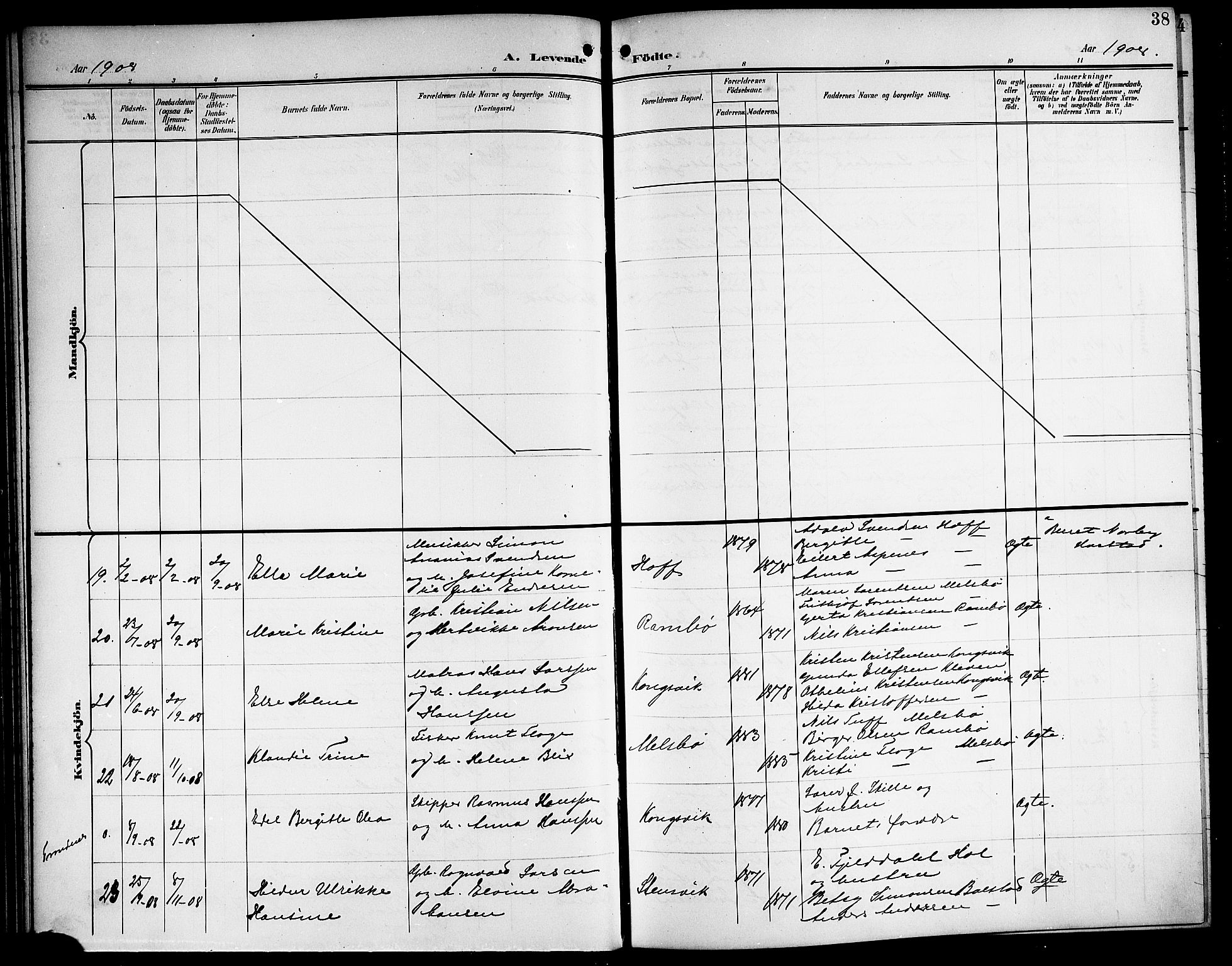 Ministerialprotokoller, klokkerbøker og fødselsregistre - Nordland, AV/SAT-A-1459/865/L0932: Parish register (copy) no. 865C04, 1901-1917, p. 38