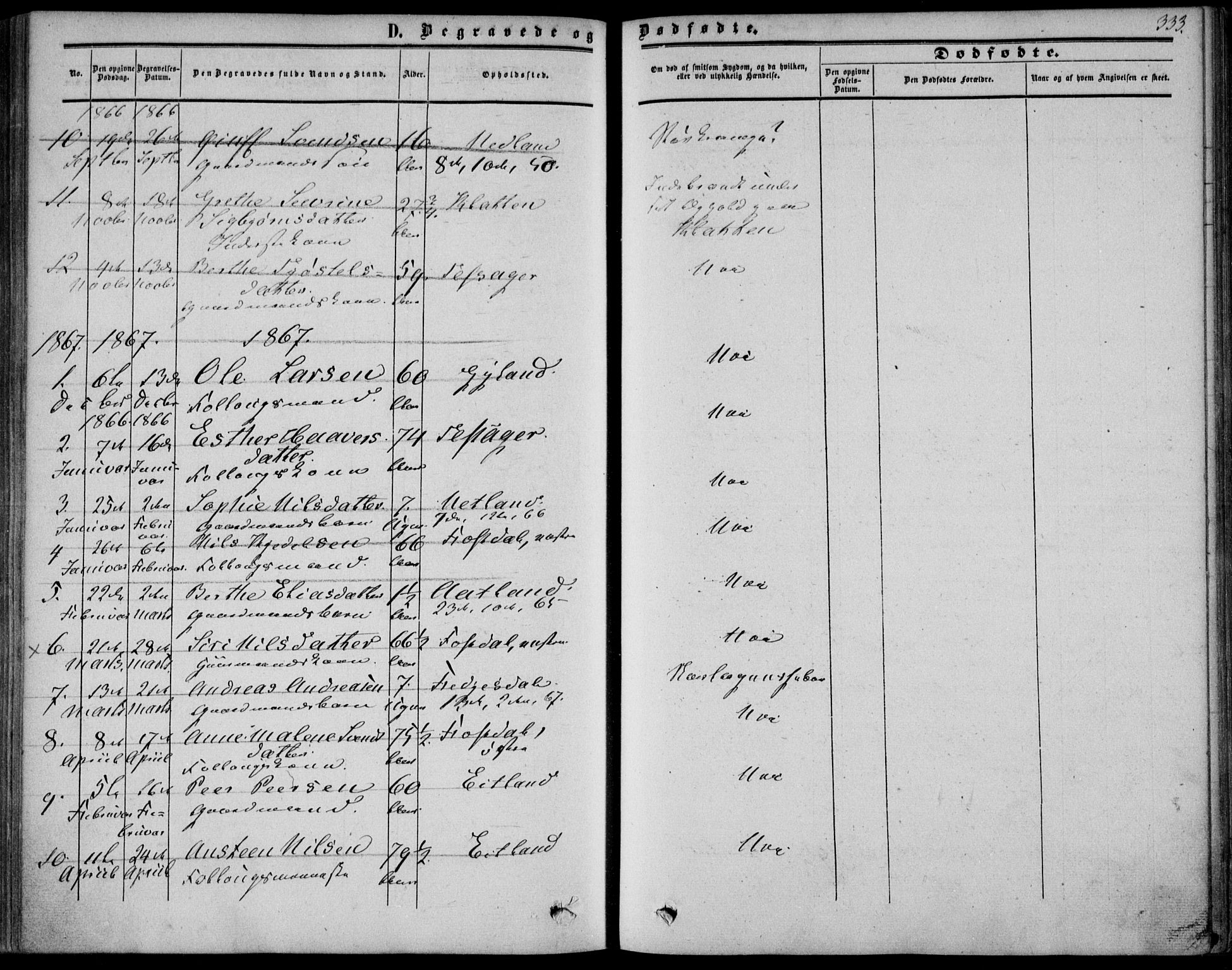 Bakke sokneprestkontor, AV/SAK-1111-0002/F/Fa/Fab/L0002: Parish register (official) no. A 2, 1855-1884, p. 333