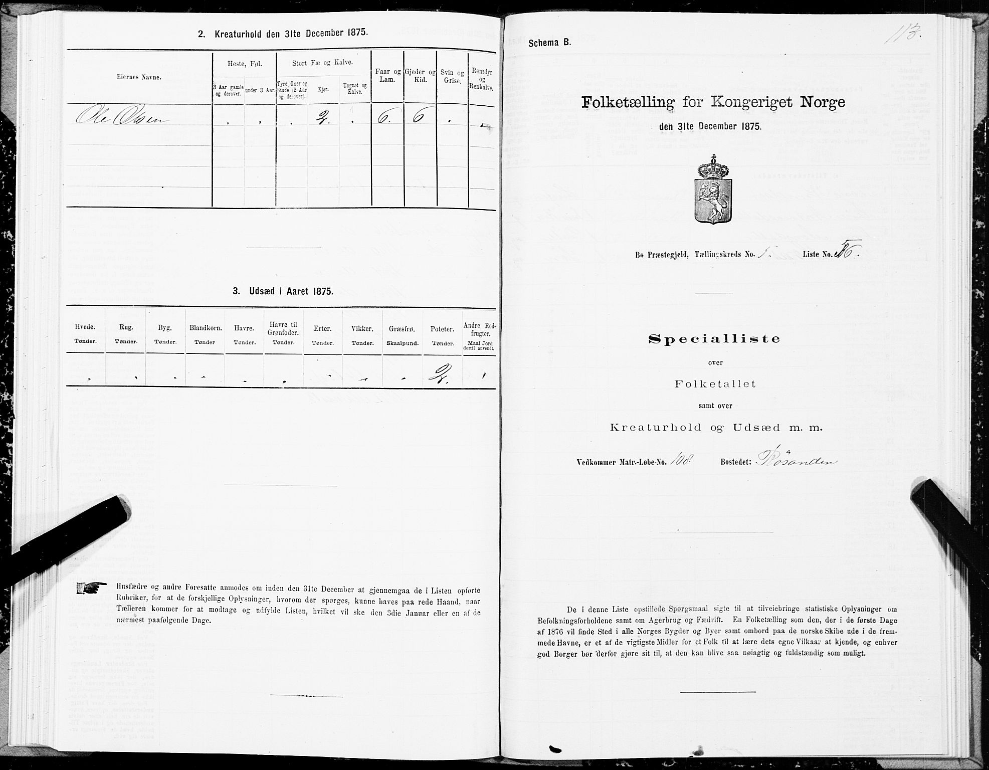 SAT, 1875 census for 1867P Bø, 1875, p. 3113