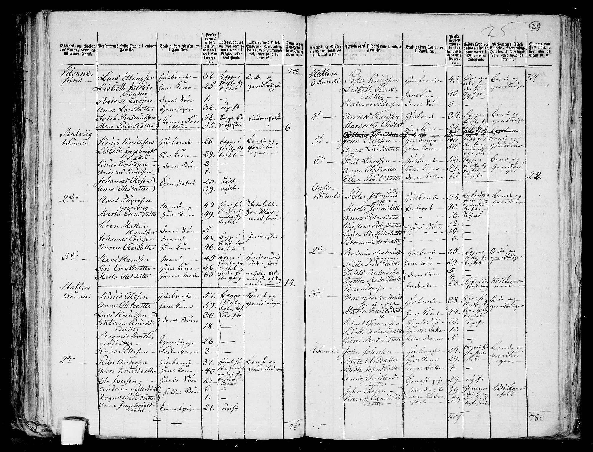 RA, 1801 census for 1531P Borgund, 1801, p. 219b-220a
