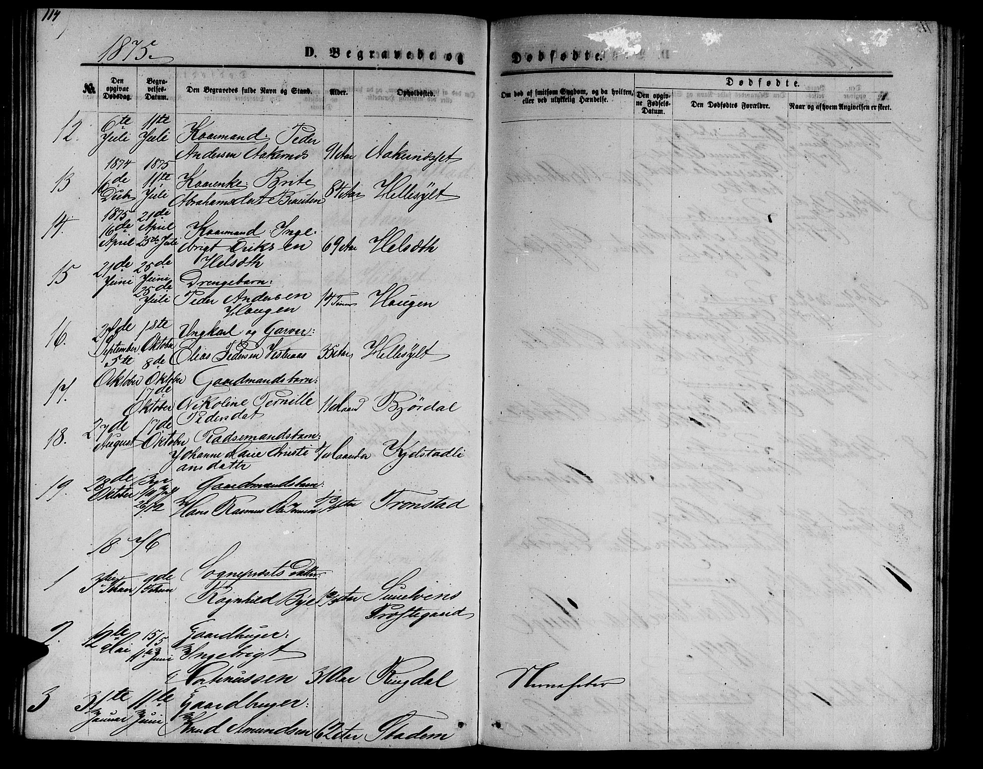 Ministerialprotokoller, klokkerbøker og fødselsregistre - Møre og Romsdal, AV/SAT-A-1454/517/L0229: Parish register (copy) no. 517C02, 1864-1879, p. 114