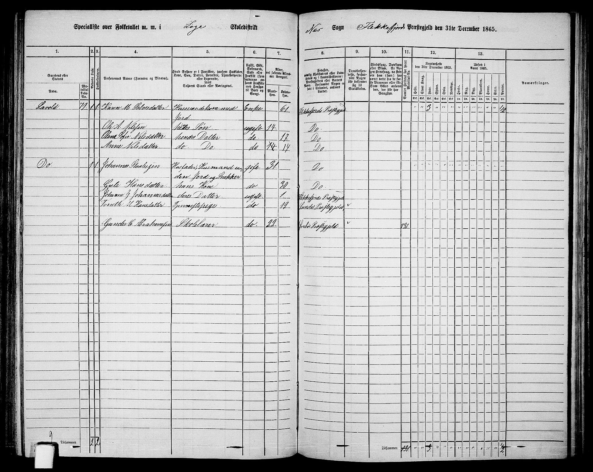 RA, 1865 census for Flekkefjord/Nes og Hidra, 1865, p. 135