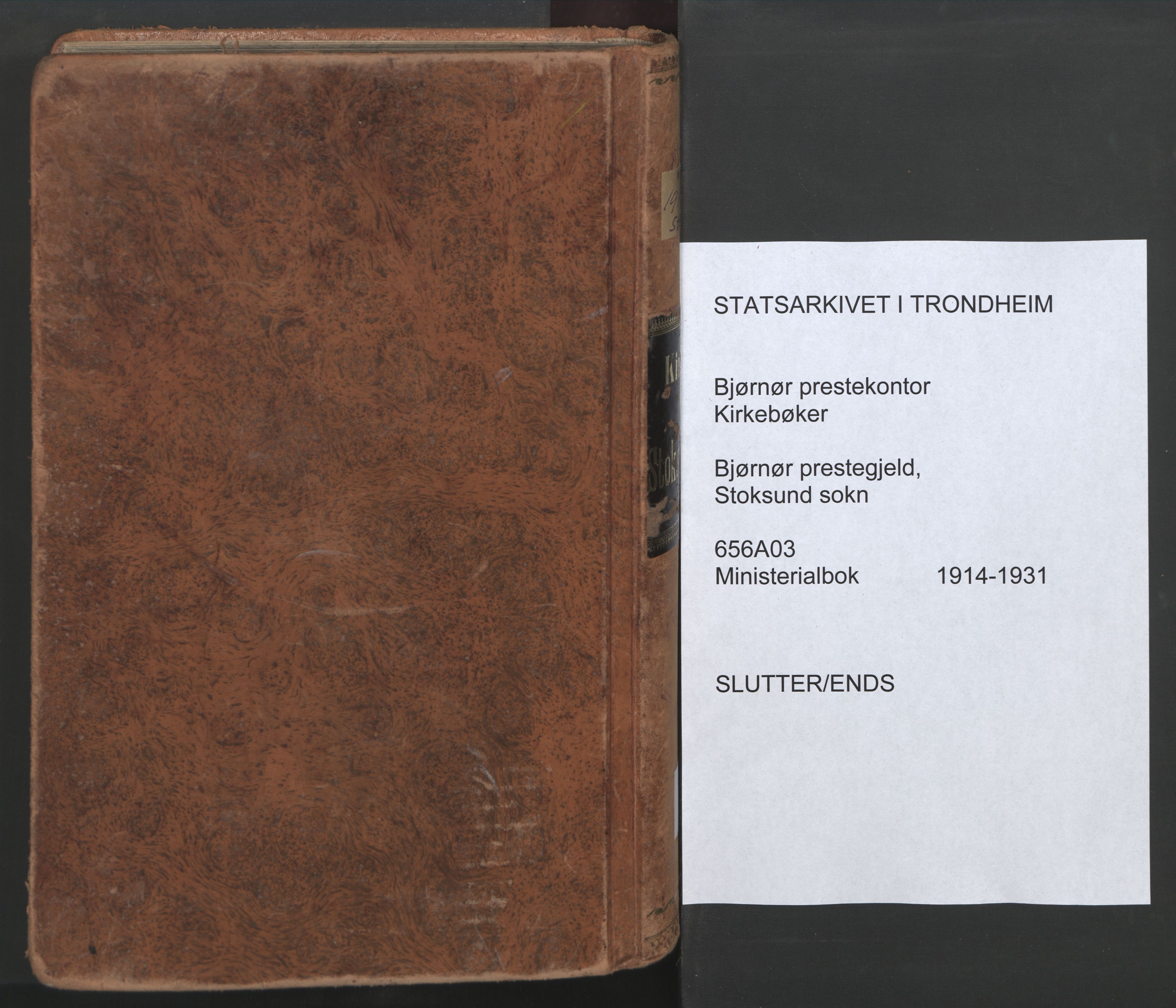 Ministerialprotokoller, klokkerbøker og fødselsregistre - Sør-Trøndelag, SAT/A-1456/656/L0694: Parish register (official) no. 656A03, 1914-1931, p. 217