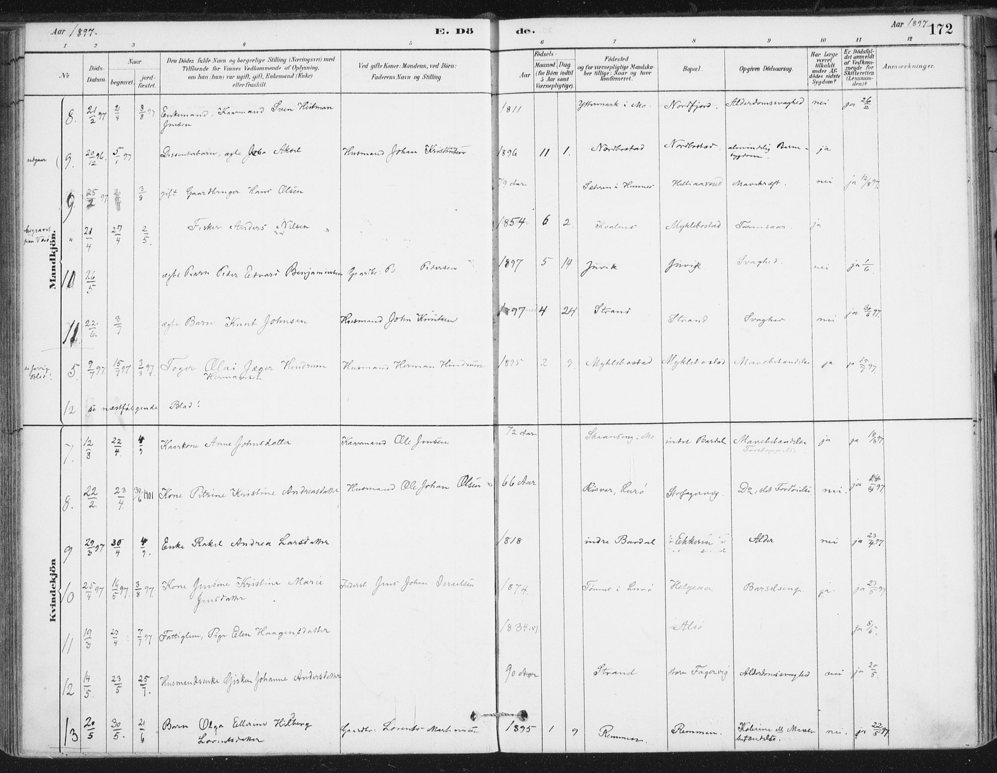 Ministerialprotokoller, klokkerbøker og fødselsregistre - Nordland, AV/SAT-A-1459/838/L0553: Parish register (official) no. 838A11, 1880-1910, p. 172