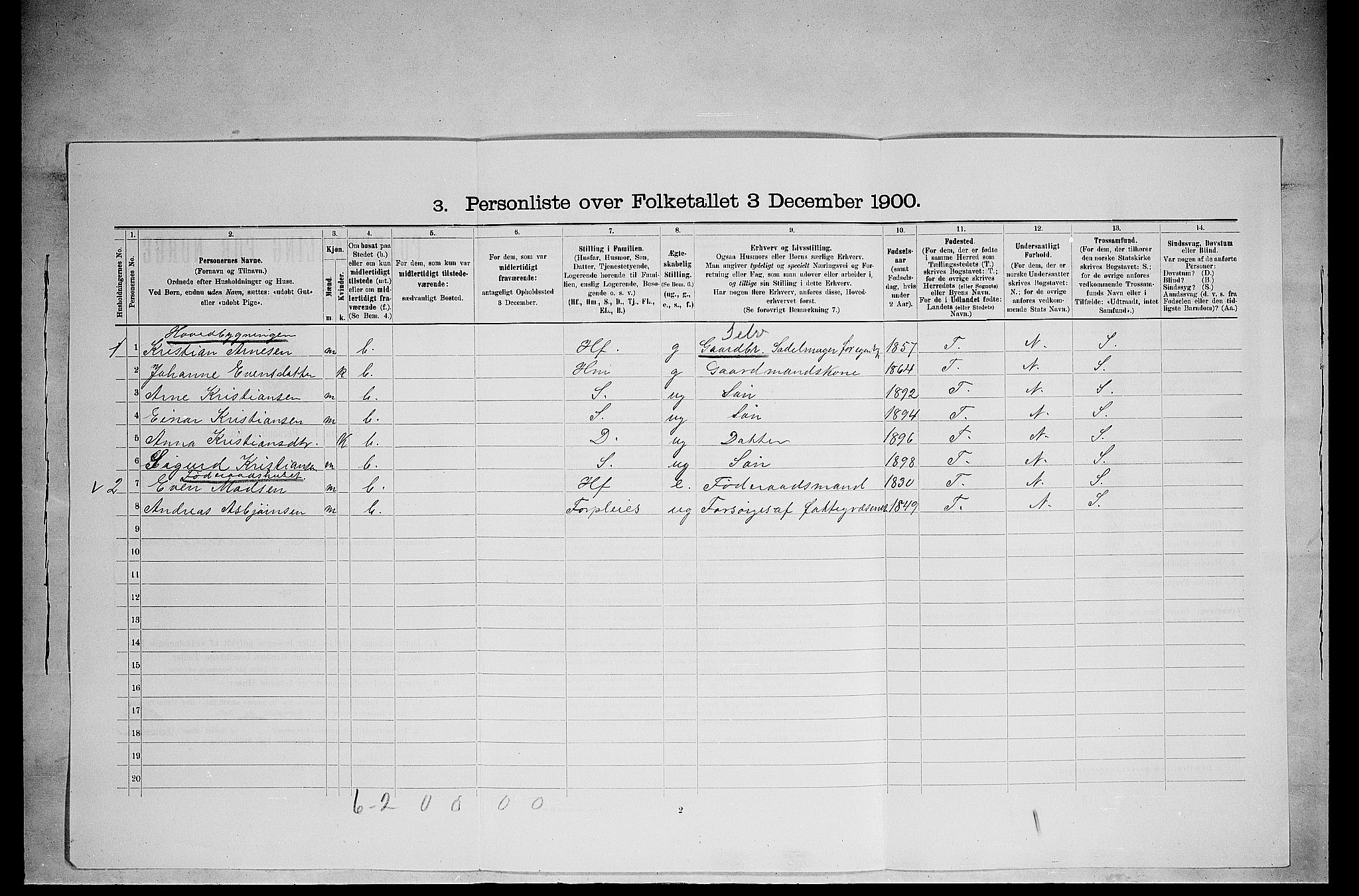 SAH, 1900 census for Ringsaker, 1900, p. 3384