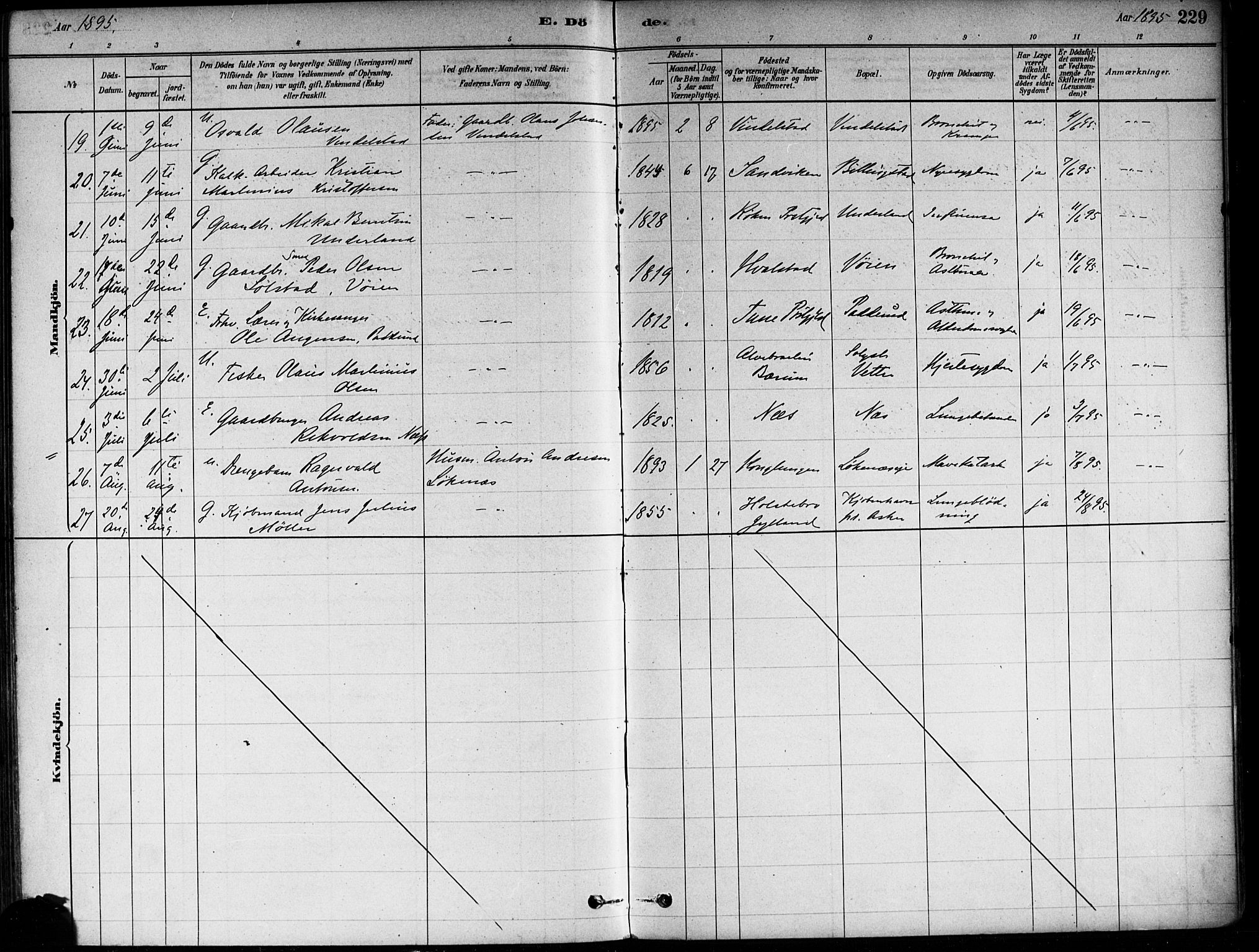 Asker prestekontor Kirkebøker, AV/SAO-A-10256a/F/Fa/L0013: Parish register (official) no. I 13, 1879-1896, p. 229