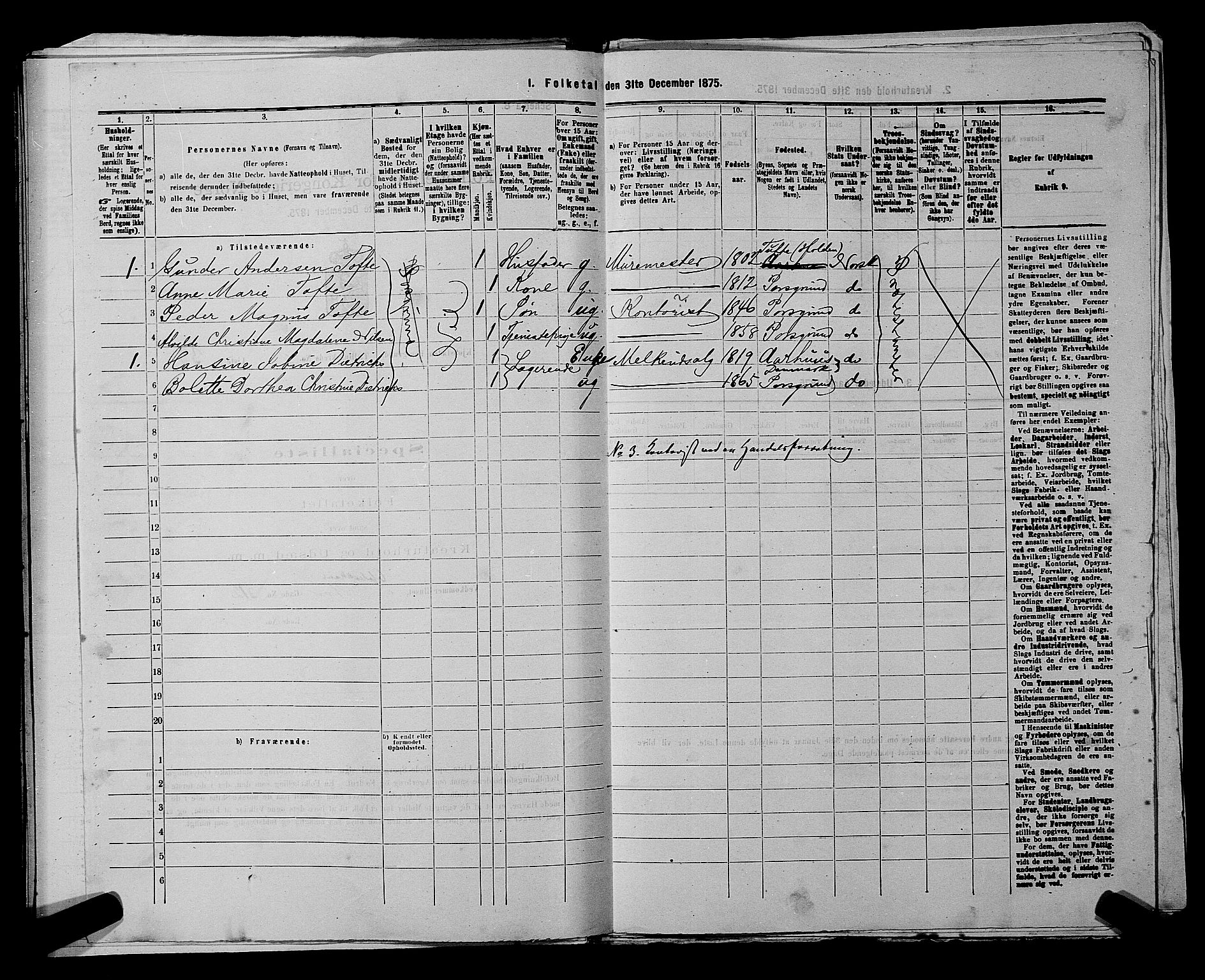 SAKO, 1875 census for 0805P Porsgrunn, 1875, p. 110