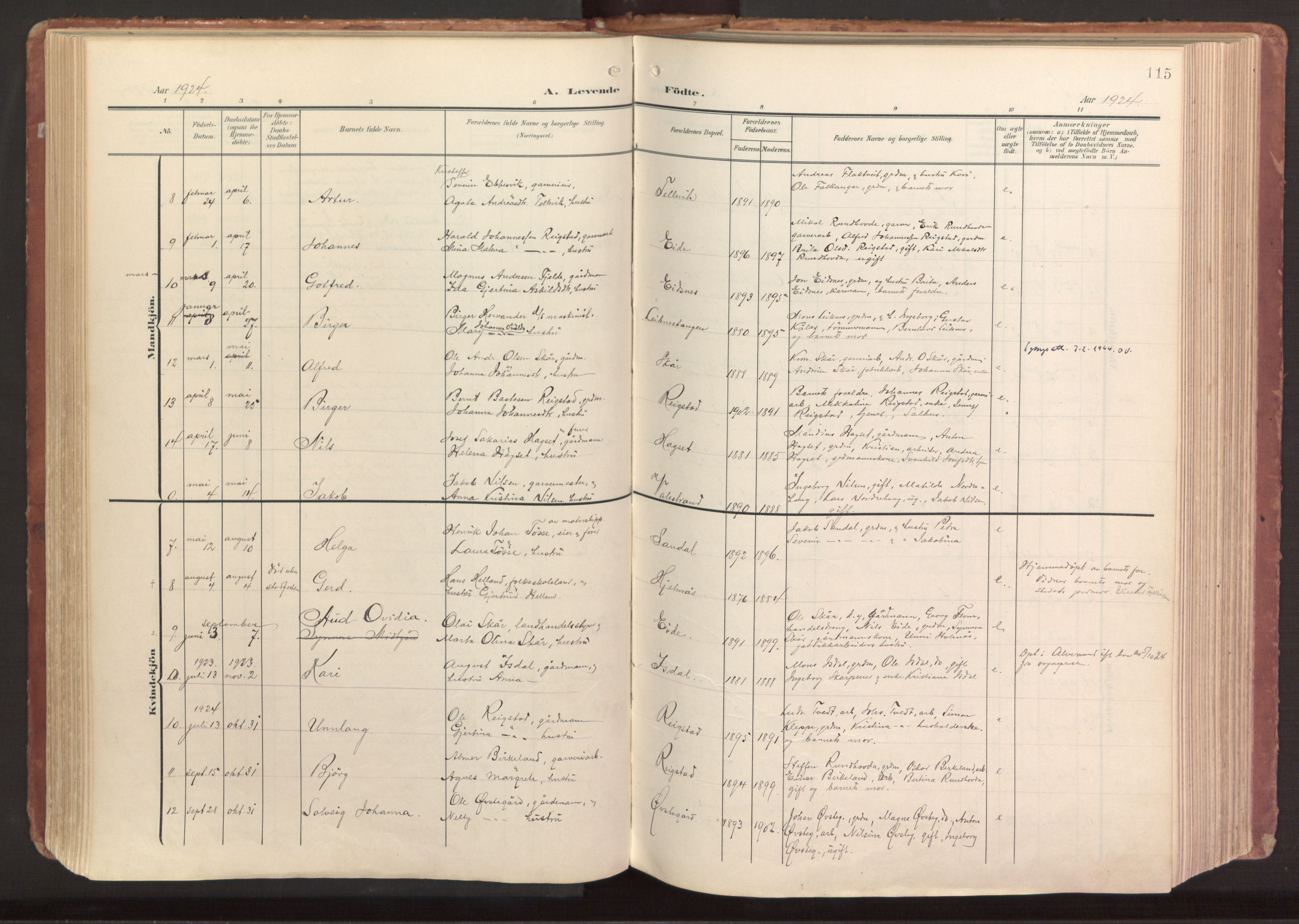 Hamre sokneprestembete, AV/SAB-A-75501/H/Ha/Haa/Haab/L0002: Parish register (official) no. B 2, 1905-1924, p. 115