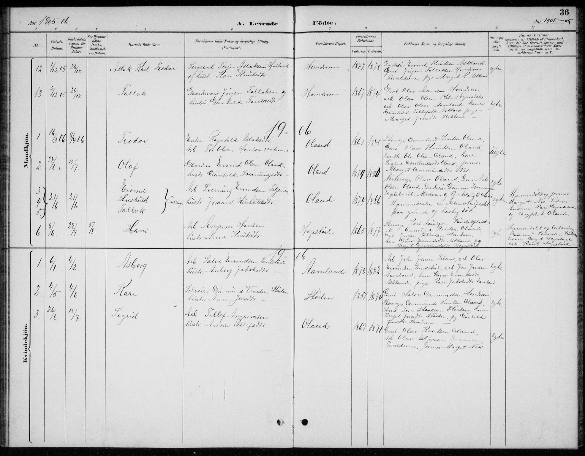 Åmli sokneprestkontor, AV/SAK-1111-0050/F/Fb/Fba/L0002: Parish register (copy) no. B 2, 1890-1912, p. 36