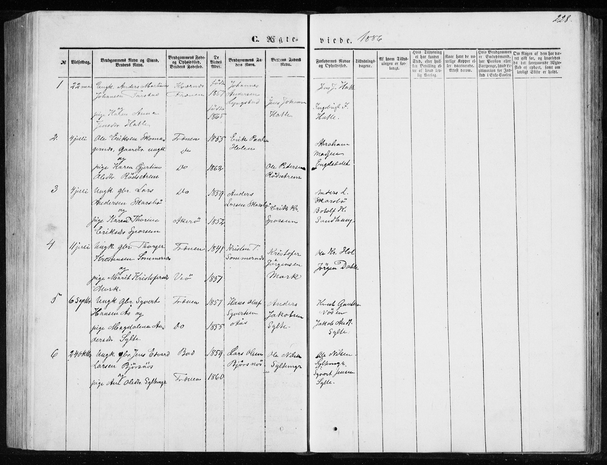 Ministerialprotokoller, klokkerbøker og fødselsregistre - Møre og Romsdal, AV/SAT-A-1454/565/L0754: Parish register (copy) no. 565C03, 1870-1896, p. 228