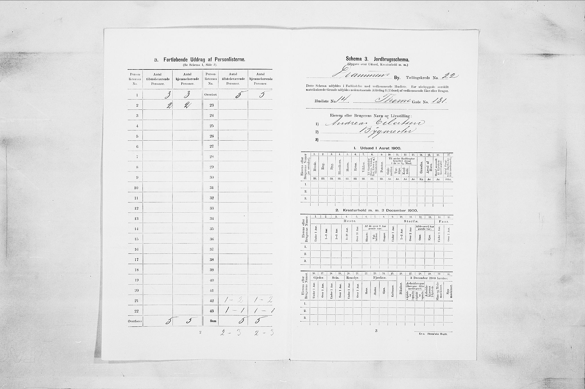 RA, 1900 census for Drammen, 1900, p. 3724