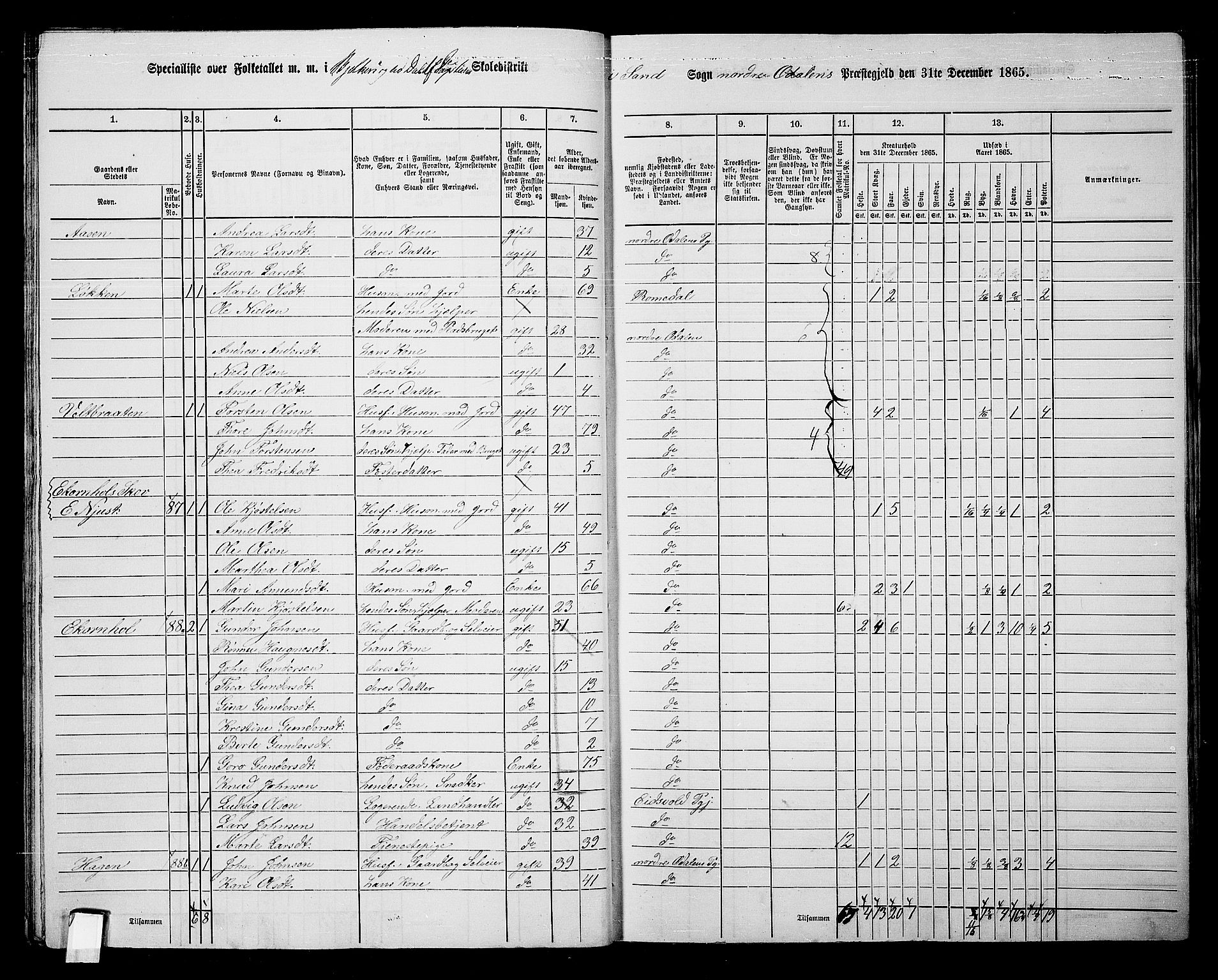 RA, 1865 census for Nord-Odal, 1865, p. 25