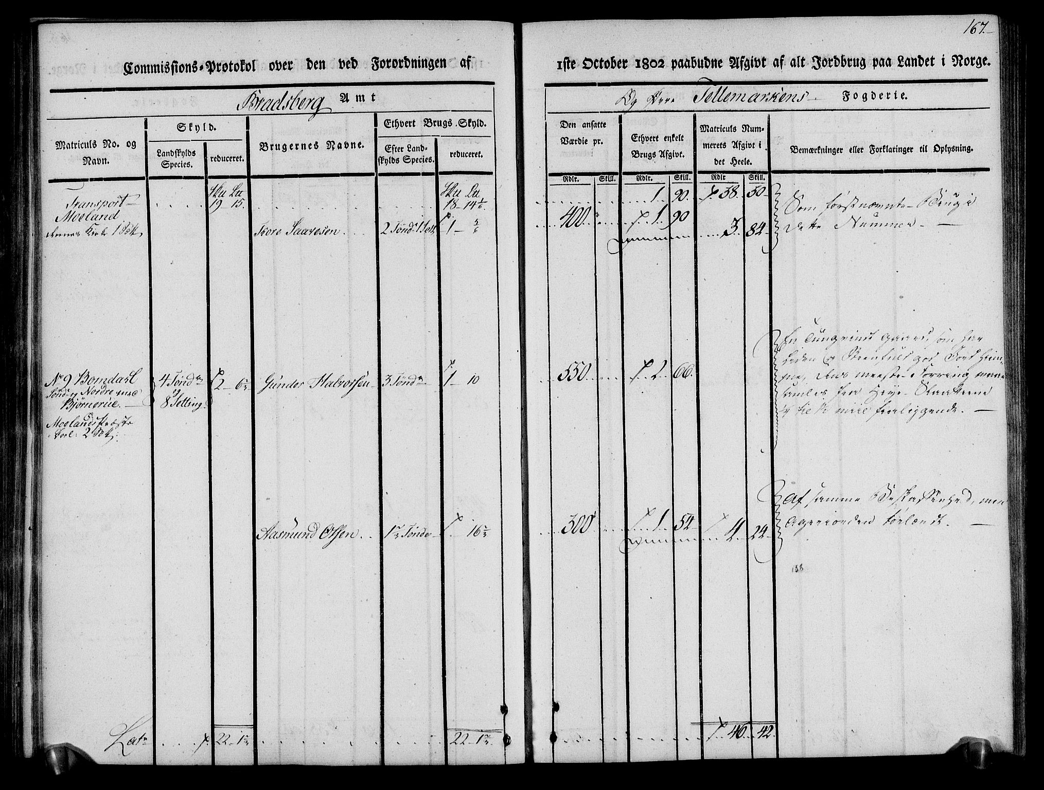 Rentekammeret inntil 1814, Realistisk ordnet avdeling, AV/RA-EA-4070/N/Ne/Nea/L0075: Øvre Telemarken fogderi. Kommisjonsprotokoll for fogderiets vestre del - Kviteseid, Vinje, Moland [):Fyresdal] og Lårdal prestegjeld., 1803, p. 169