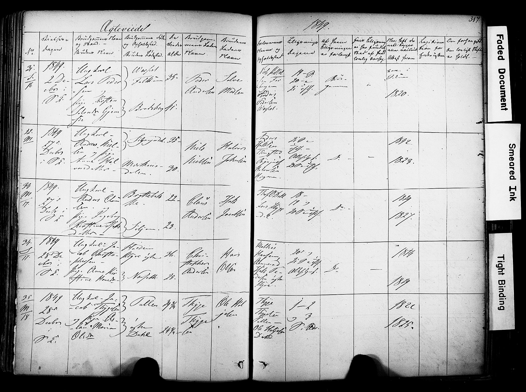 Solum kirkebøker, SAKO/A-306/F/Fa/L0006: Parish register (official) no. I 6, 1844-1855, p. 317