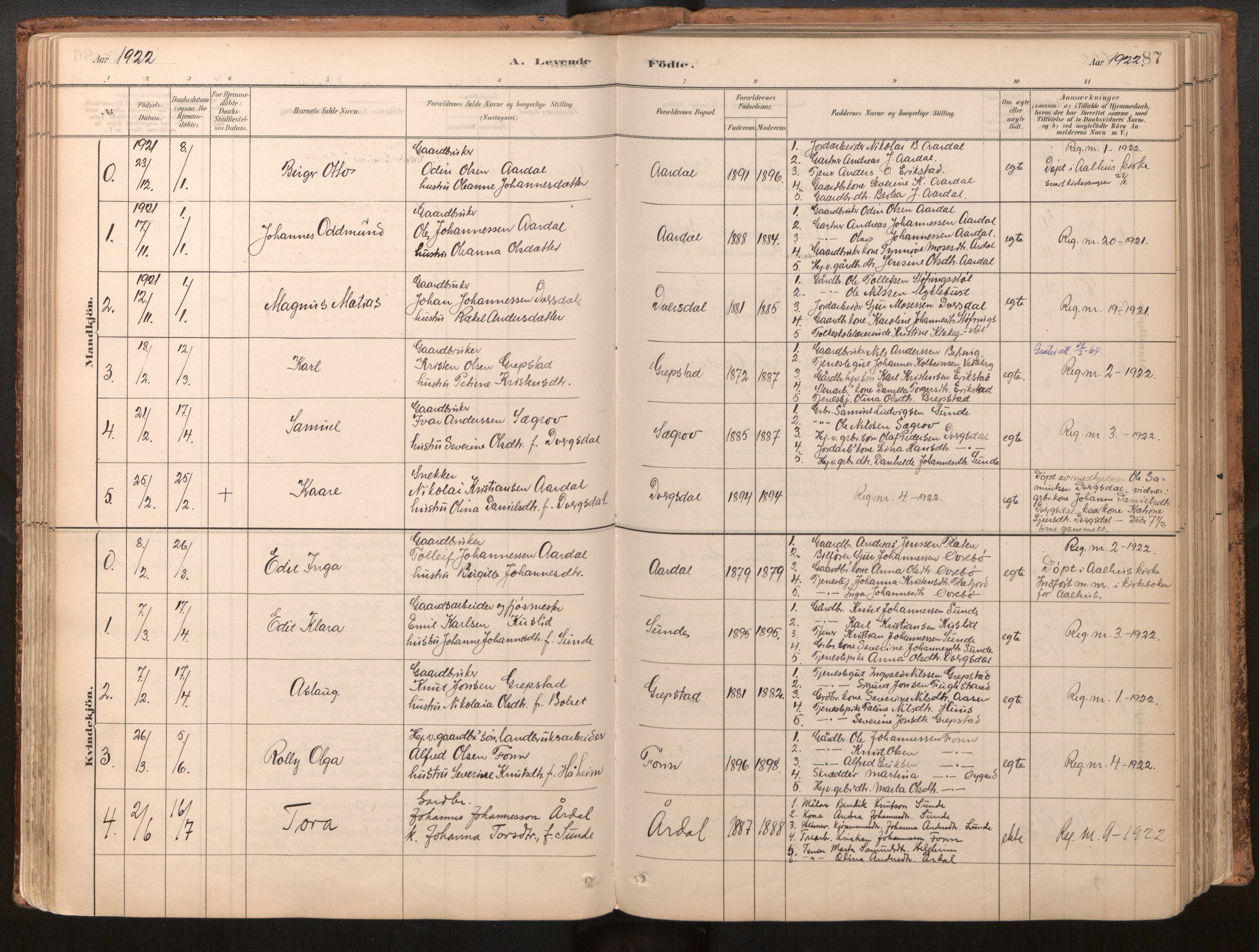 Jølster sokneprestembete, AV/SAB-A-80701/H/Haa/Haac/L0001: Parish register (official) no. C 1, 1882-1928, p. 87