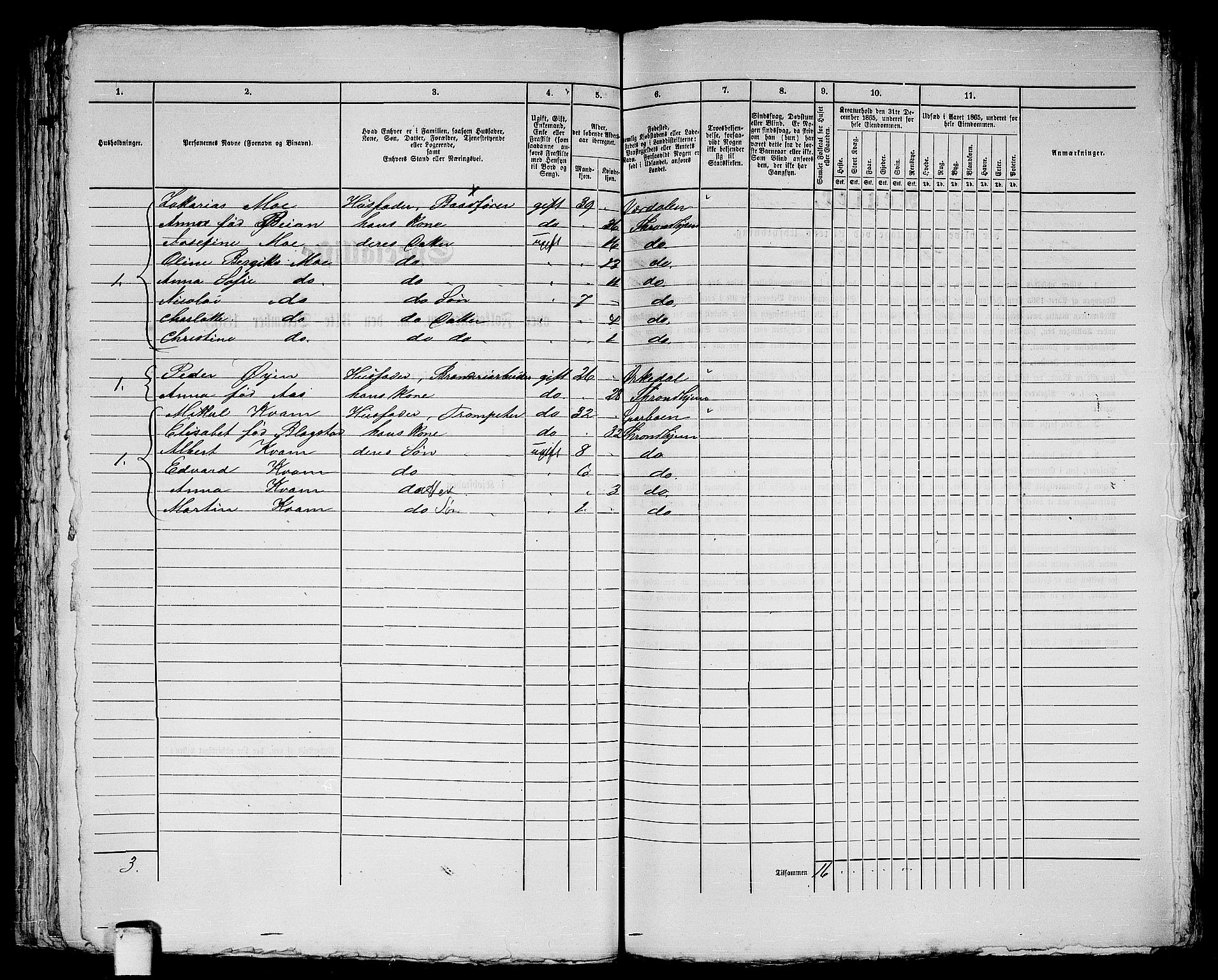 RA, 1865 census for Trondheim, 1865, p. 394