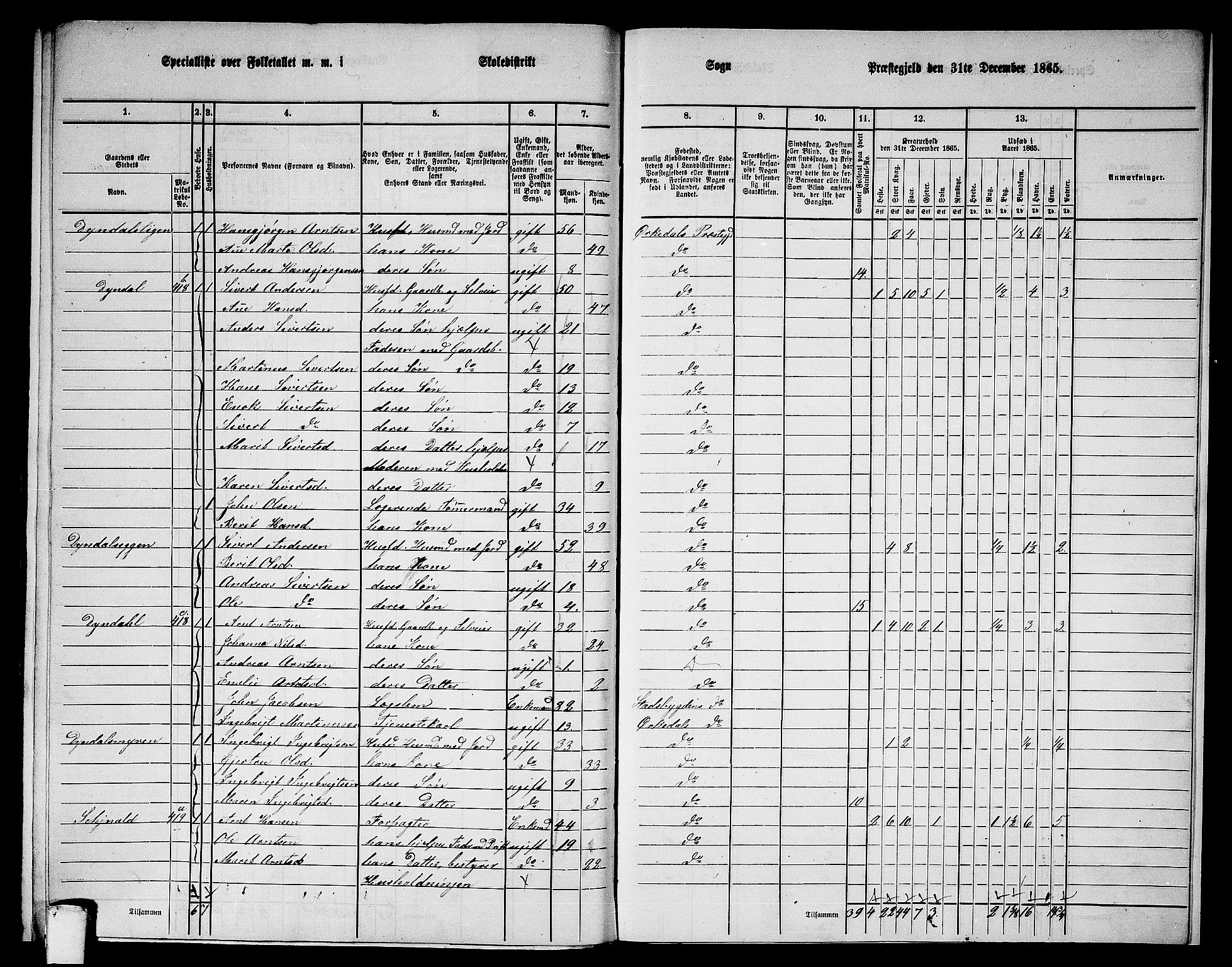 RA, 1865 census for Orkdal, 1865, p. 269