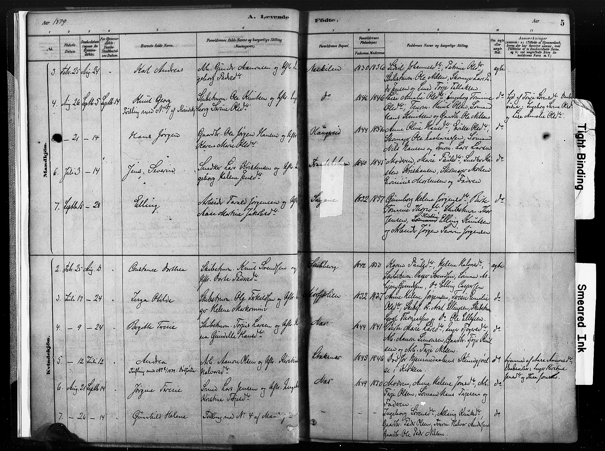 Austre Moland sokneprestkontor, AV/SAK-1111-0001/F/Fa/Fab/L0001: Parish register (official) no. A 1, 1878-1898, p. 5