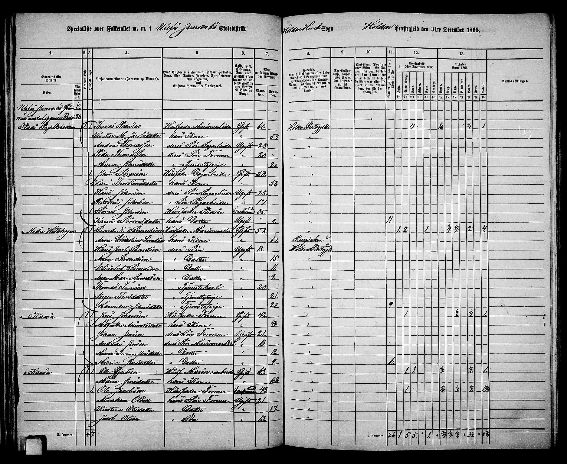 RA, 1865 census for Holla, 1865, p. 48