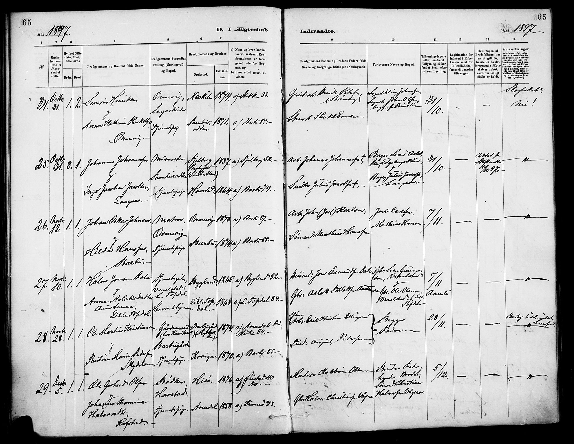 Barbu sokneprestkontor, AV/SAK-1111-0003/F/Fa/L0003: Parish register (official) no. A 3, 1883-1898, p. 65