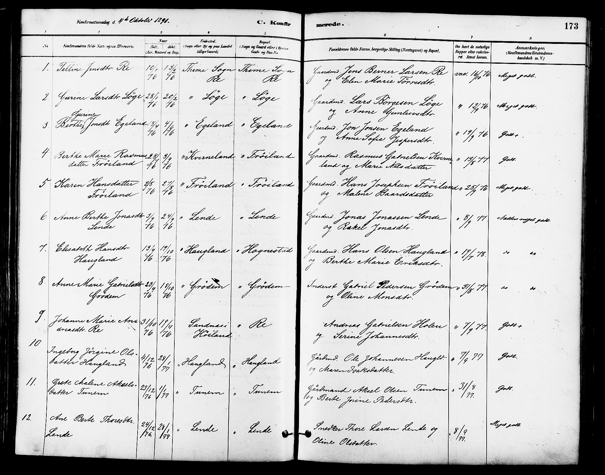 Lye sokneprestkontor, AV/SAST-A-101794/001/30BA/L0009: Parish register (official) no. A 8, 1881-1892, p. 173