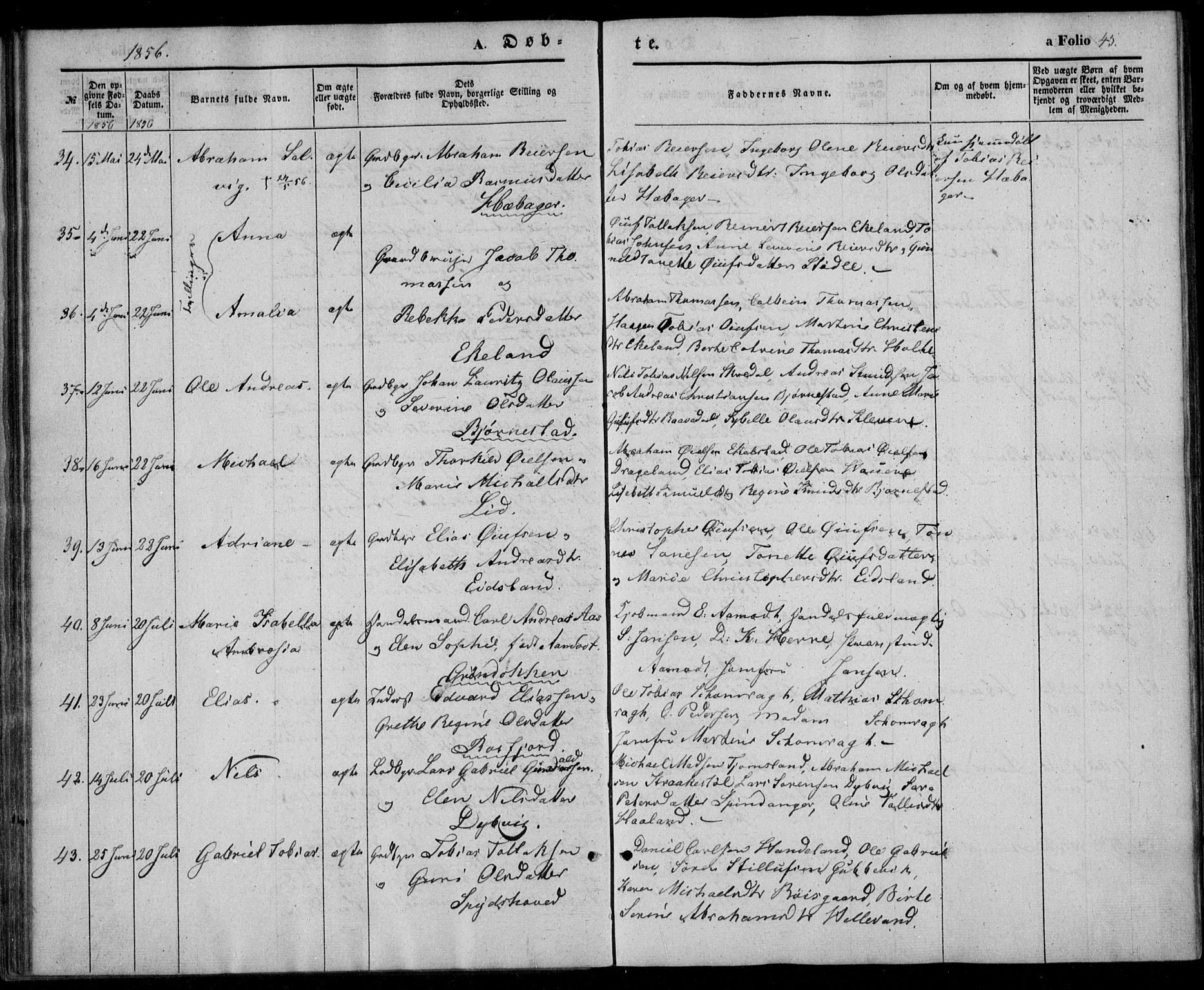 Lyngdal sokneprestkontor, AV/SAK-1111-0029/F/Fa/Fac/L0009: Parish register (official) no. A 9, 1852-1864, p. 45