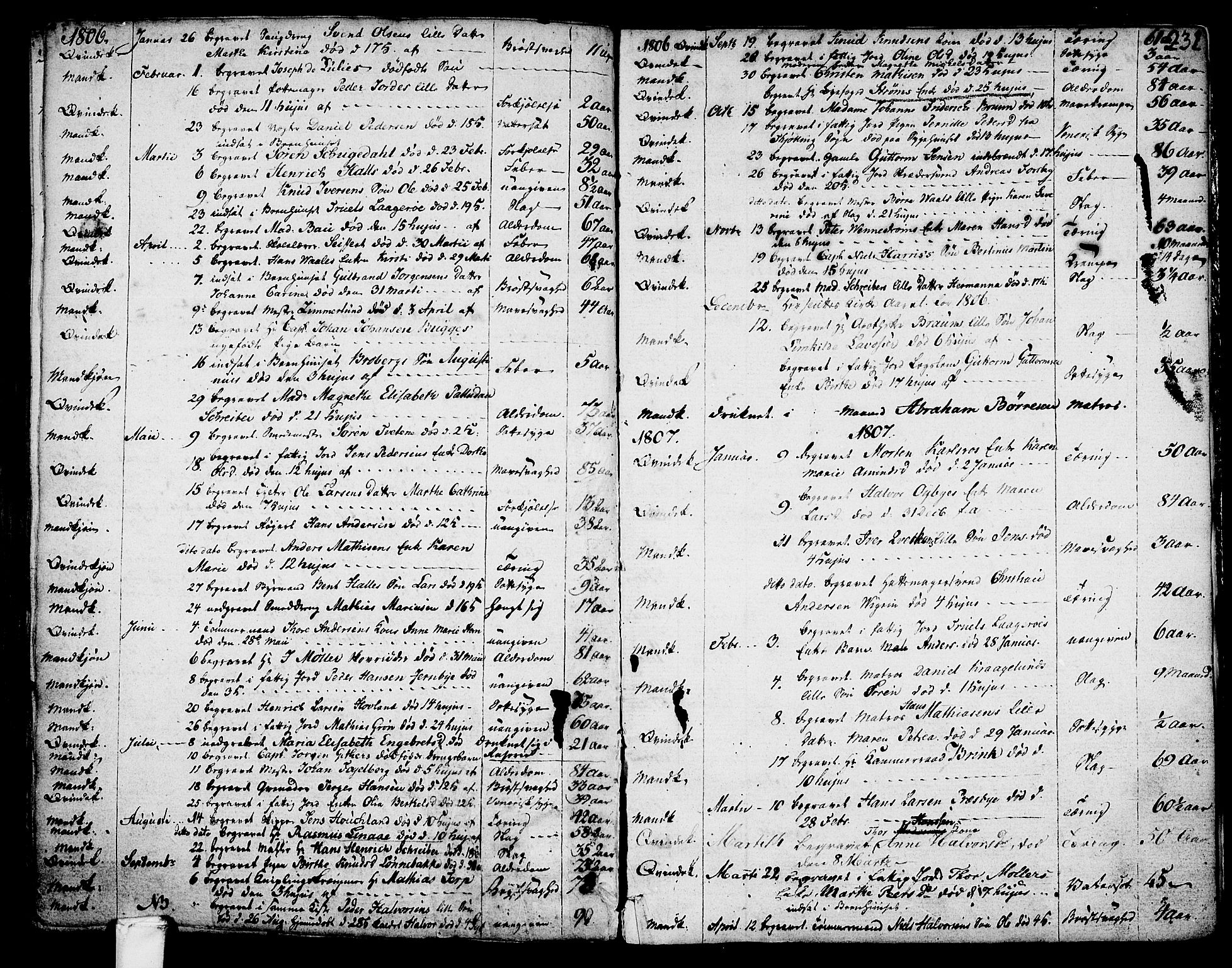 Larvik kirkebøker, SAKO/A-352/G/Ga/L0001: Parish register (copy) no. I 1, 1785-1807, p. 231