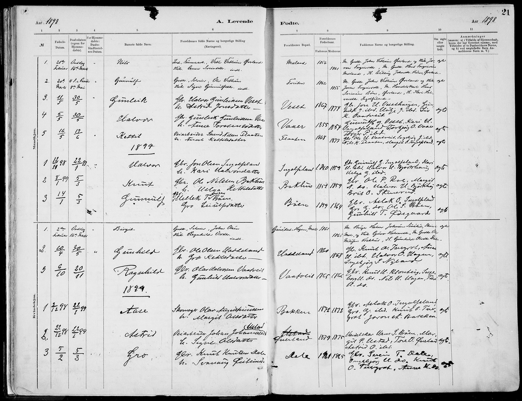 Rjukan kirkebøker, SAKO/A-294/F/Fa/L0001: Parish register (official) no. 1, 1878-1912, p. 21