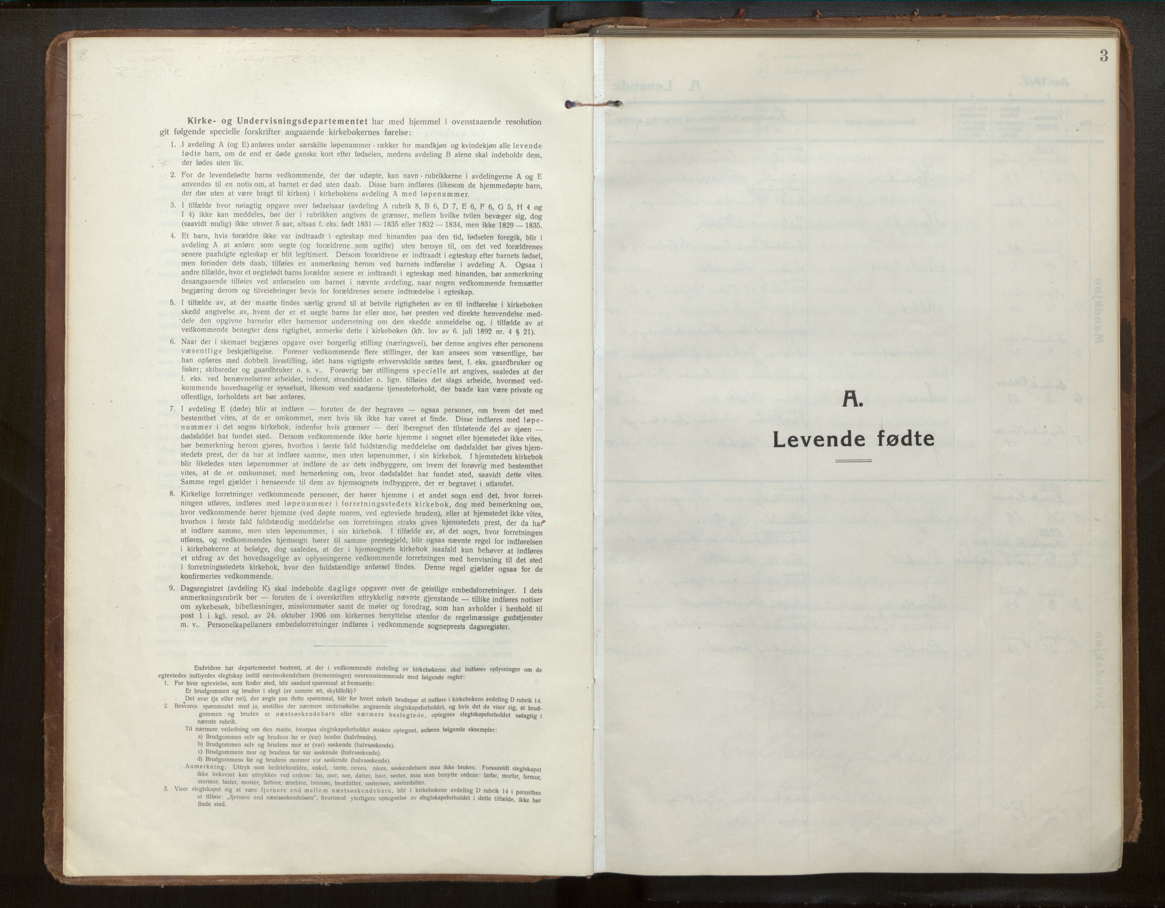 Jostedal sokneprestembete, SAB/A-80601/H/Haa/Haab/L0002: Parish register (official) no. B 2, 1915-1931, p. 3