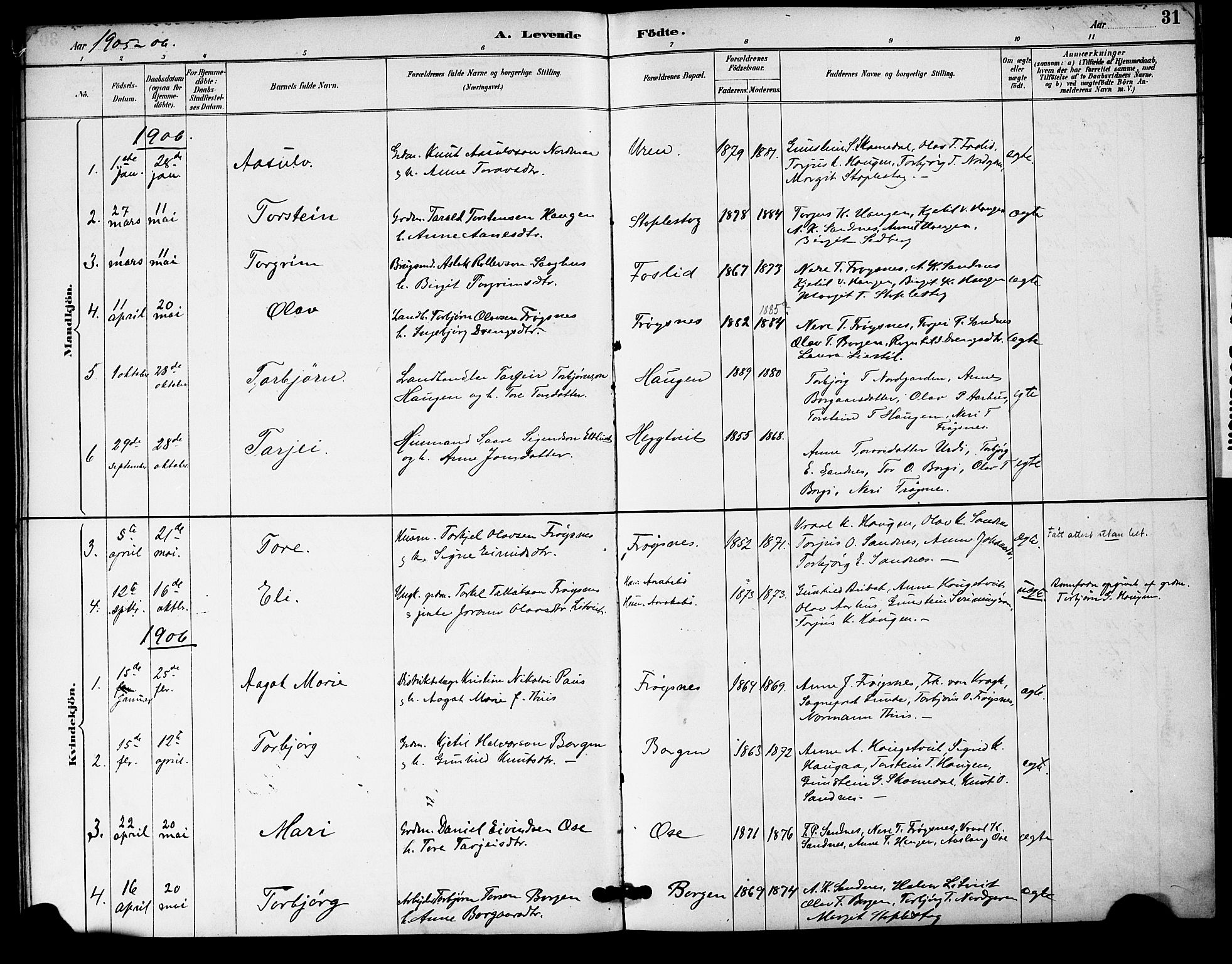 Bygland sokneprestkontor, AV/SAK-1111-0006/F/Fa/Fac/L0001: Parish register (official) no. A 1, 1885-1909, p. 31