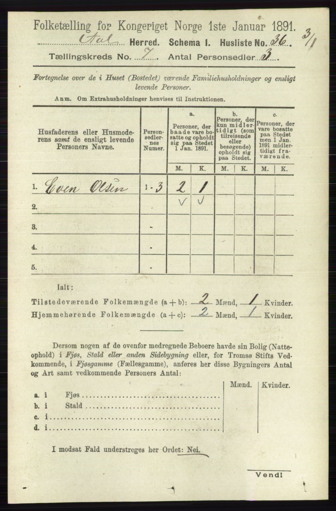 RA, 1891 census for 0619 Ål, 1891, p. 1817