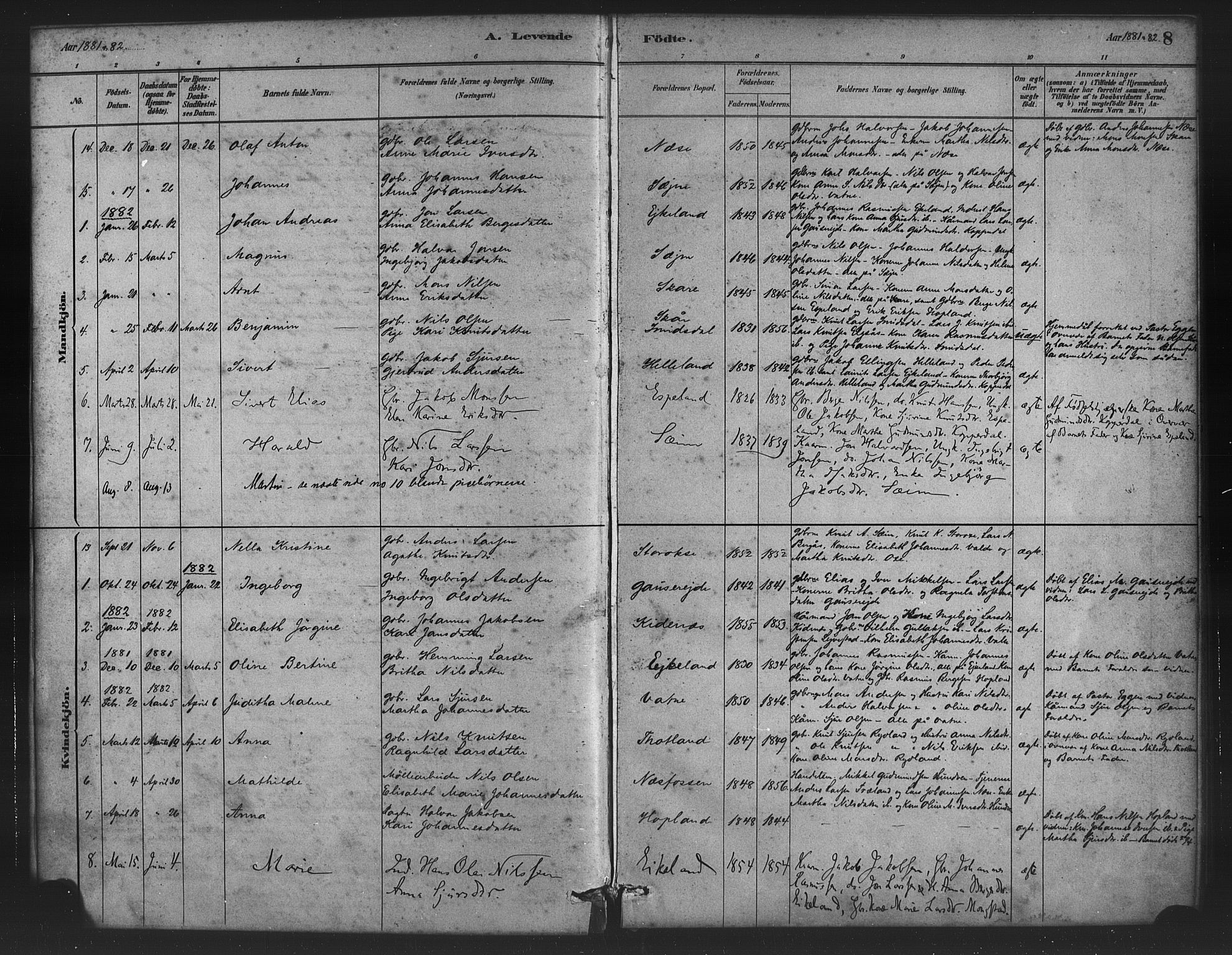 Alversund Sokneprestembete, SAB/A-73901/H/Ha/Haa/Haad/L0001: Parish register (official) no. D 1, 1880-1898, p. 8