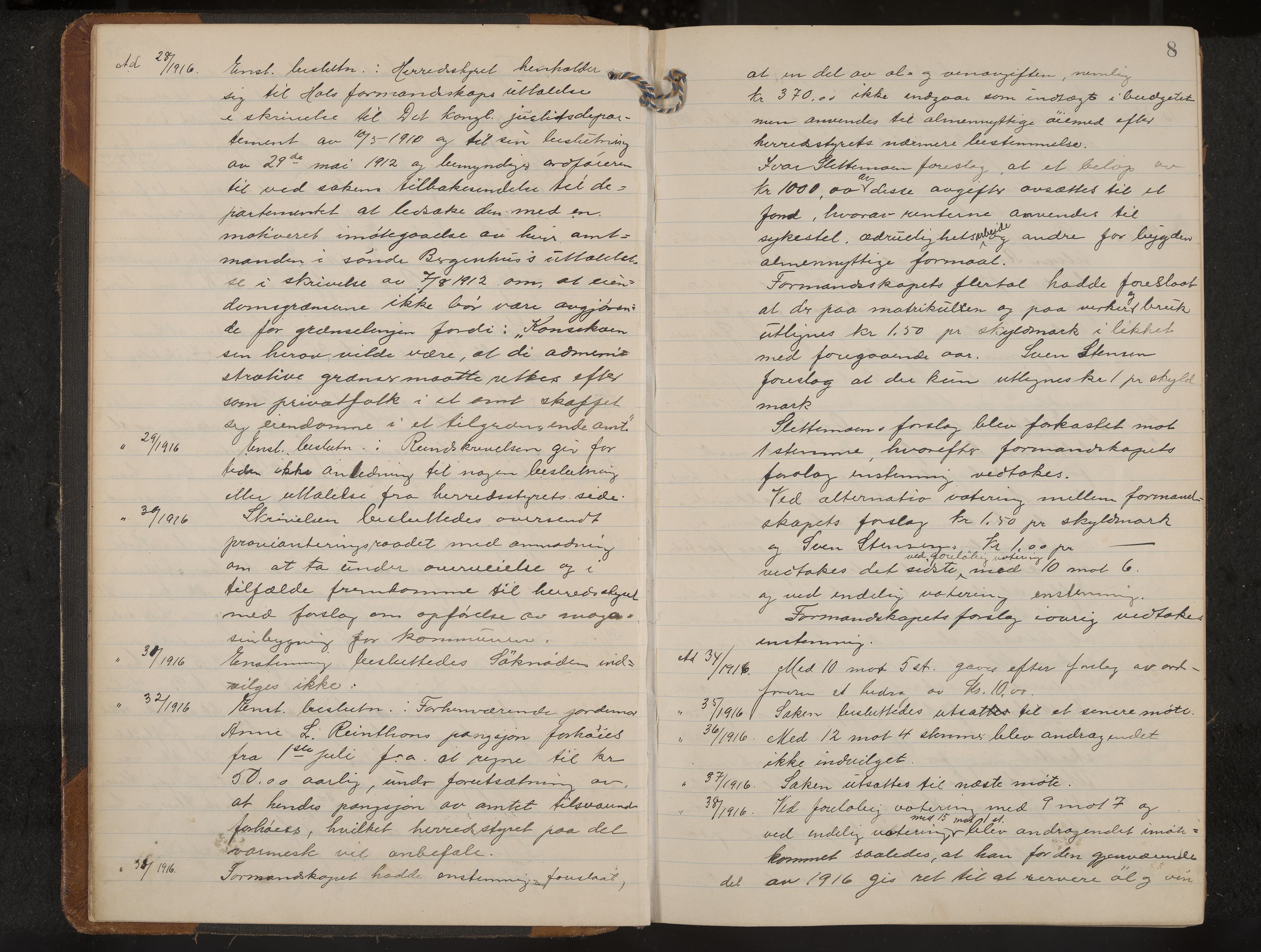 Hol formannskap og sentraladministrasjon, IKAK/0620021-1/A/L0006: Møtebok, 1916-1922, p. 8