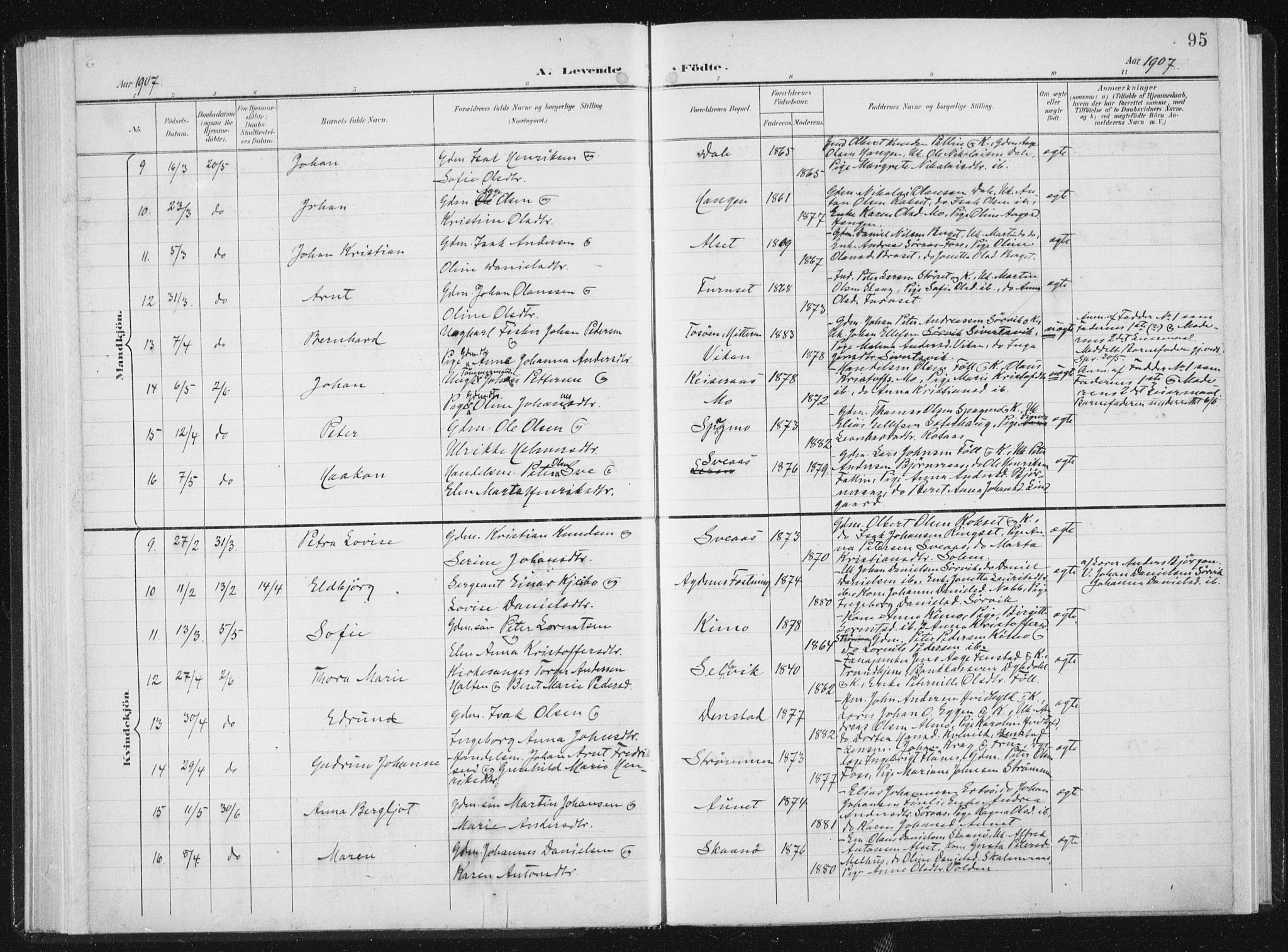 Ministerialprotokoller, klokkerbøker og fødselsregistre - Sør-Trøndelag, SAT/A-1456/647/L0635: Parish register (official) no. 647A02, 1896-1911, p. 95