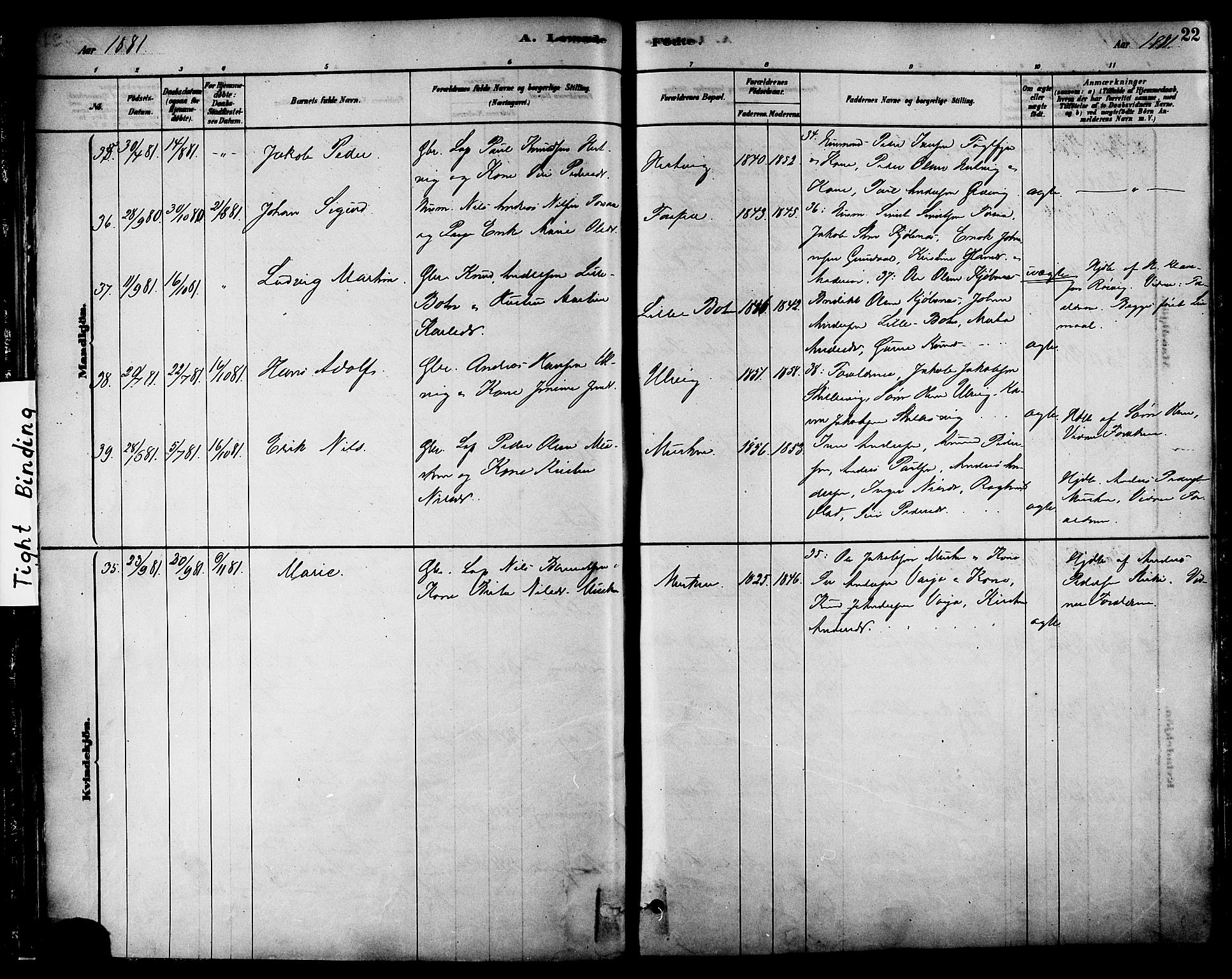 Ministerialprotokoller, klokkerbøker og fødselsregistre - Nordland, SAT/A-1459/861/L0868: Parish register (official) no. 861A03, 1879-1889, p. 22