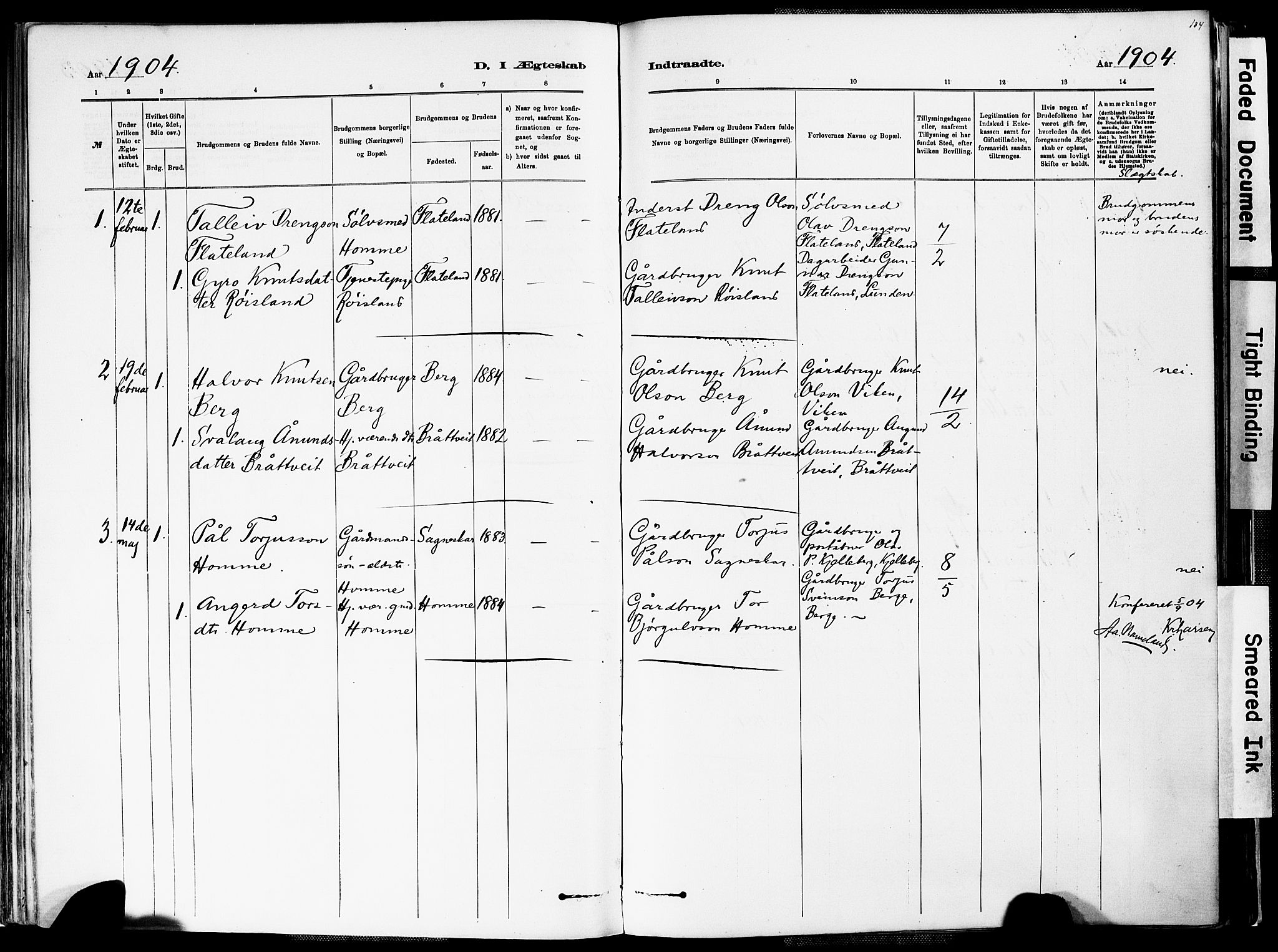 Valle sokneprestkontor, SAK/1111-0044/F/Fa/Fac/L0009: Parish register (official) no. A 9, 1882-1913, p. 184